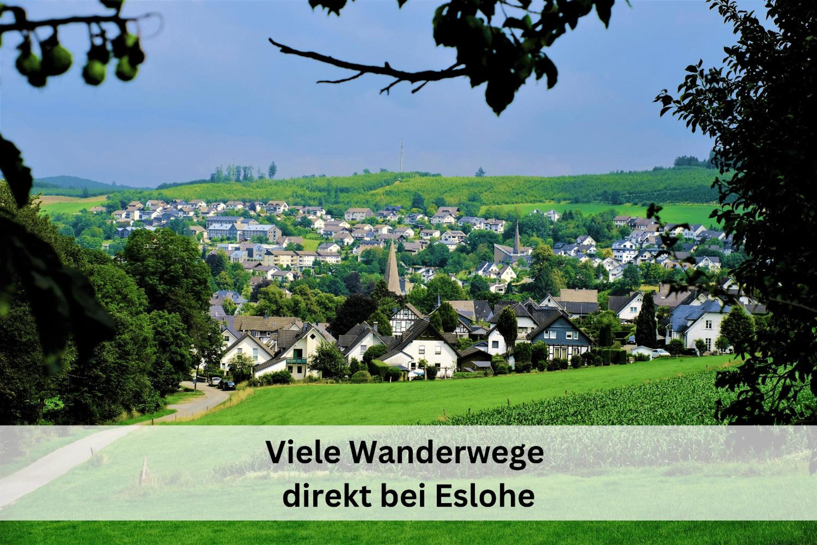 Ferienhaus Pape - 300m2, 17 Betten - mit großem privatem Garten, Pool, Dart, Sauna-, Grill- und Spielbereich - Ideal für Familien