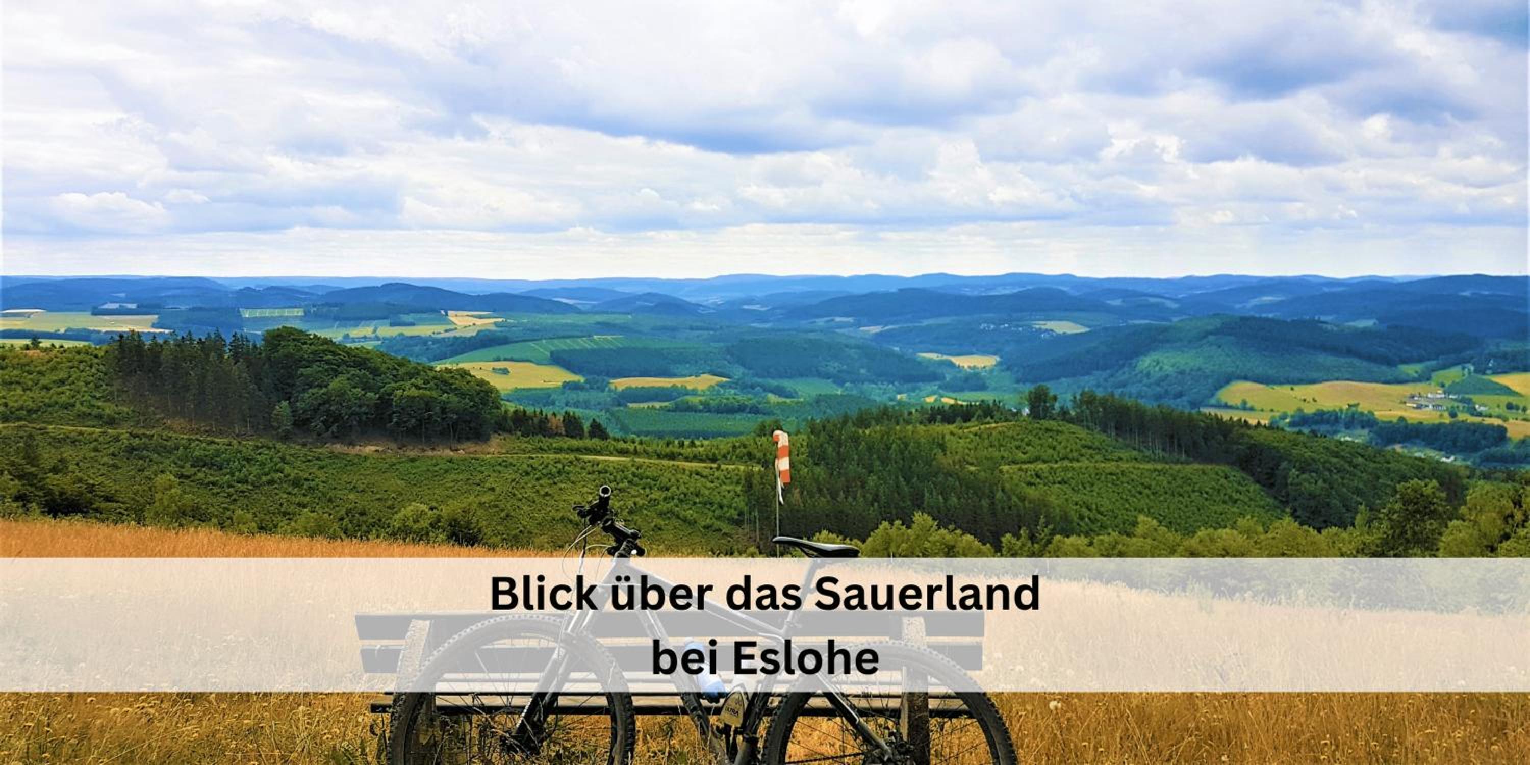 Ferienhaus Pape - 300m2, 17 Betten - mit großem privatem Garten, Pool, Dart, Sauna-, Grill- und Spielbereich - Ideal für Familien