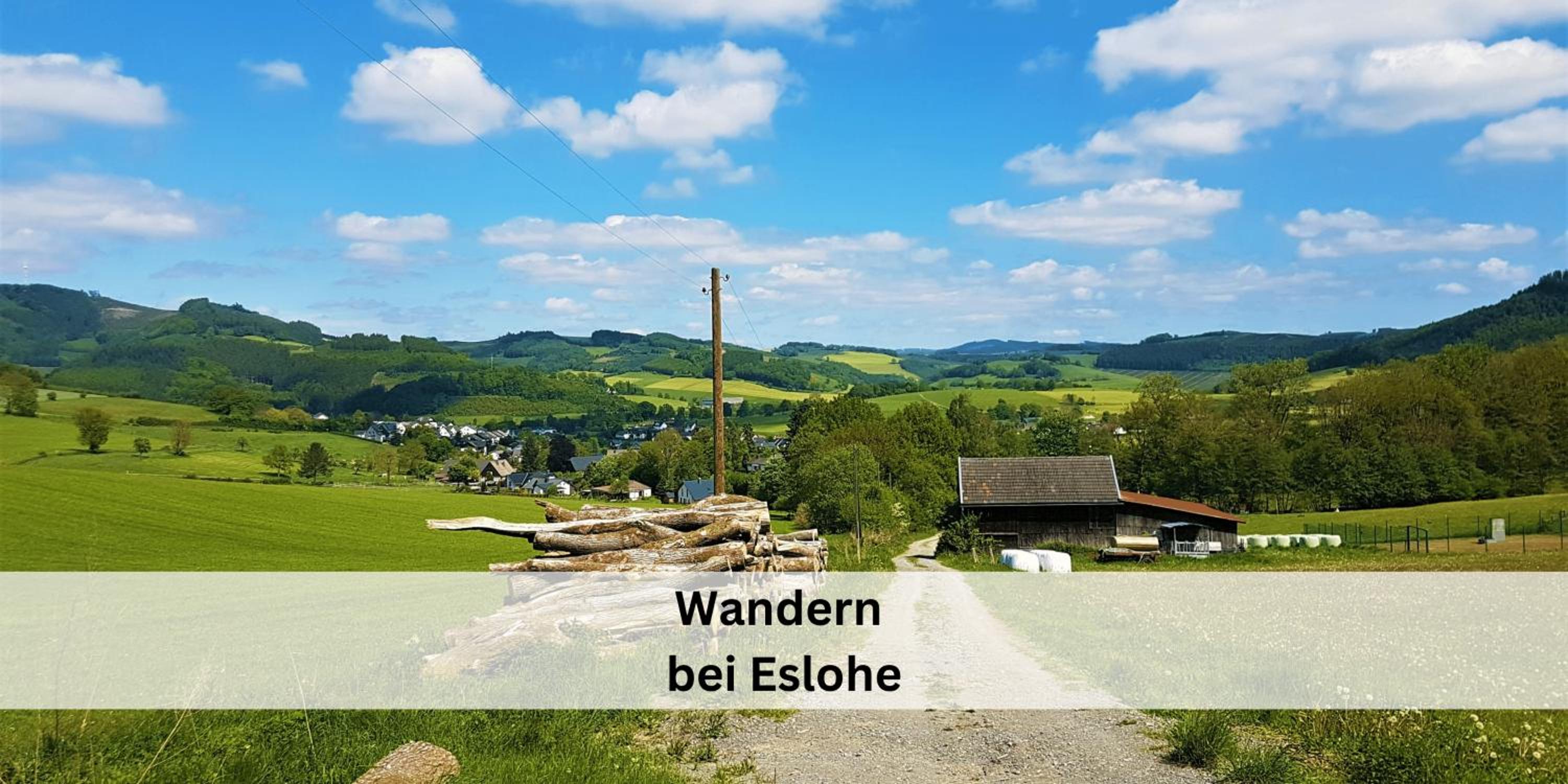 Ferienhaus Pape - 300m2, 17 Betten - mit großem privatem Garten, Pool, Dart, Sauna-, Grill- und Spielbereich - Ideal für Familien
