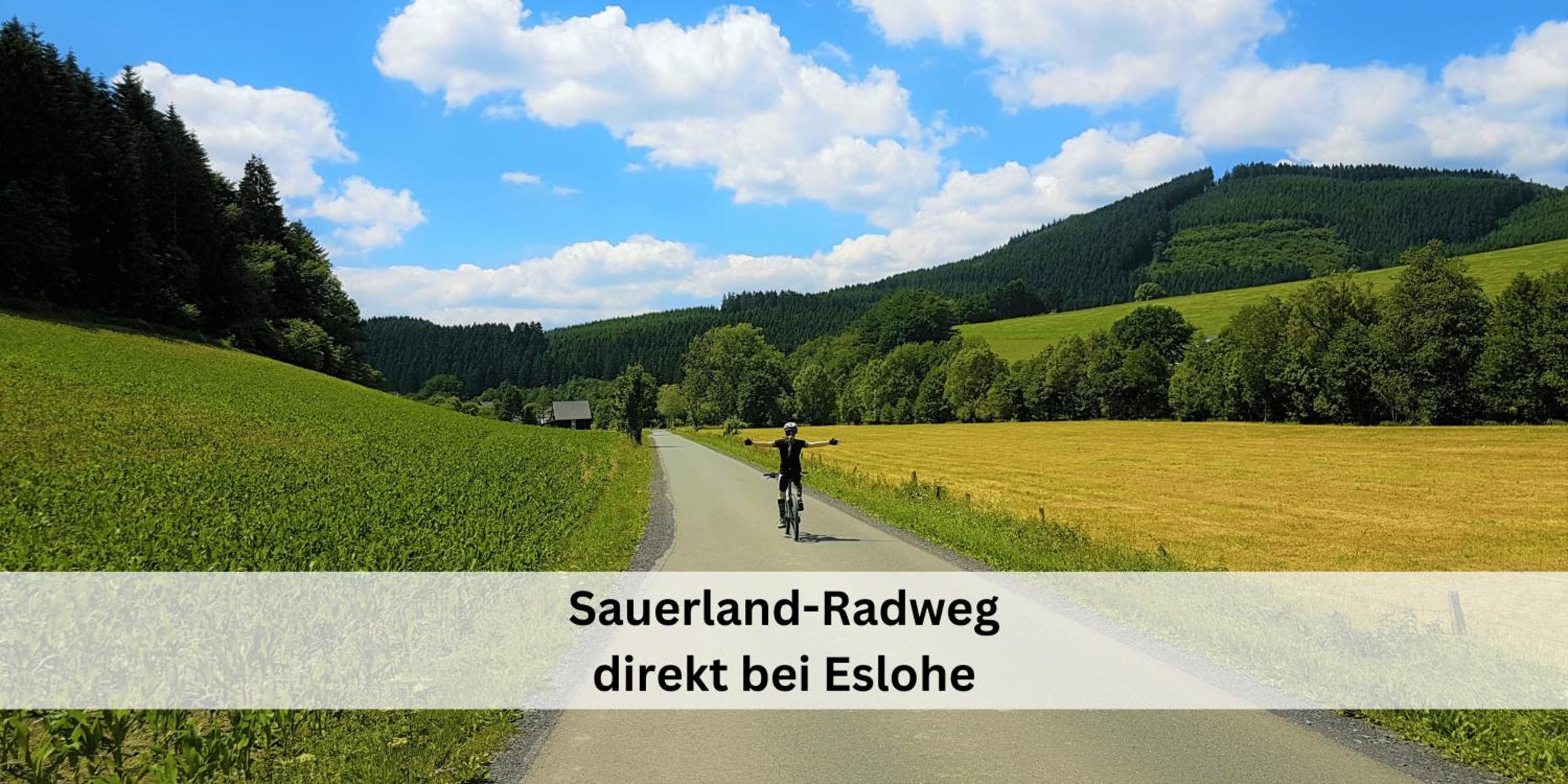 Ferienhaus Pape - 300m2, 17 Betten - mit großem privatem Garten, Pool, Dart, Sauna-, Grill- und Spielbereich - Ideal für Familien