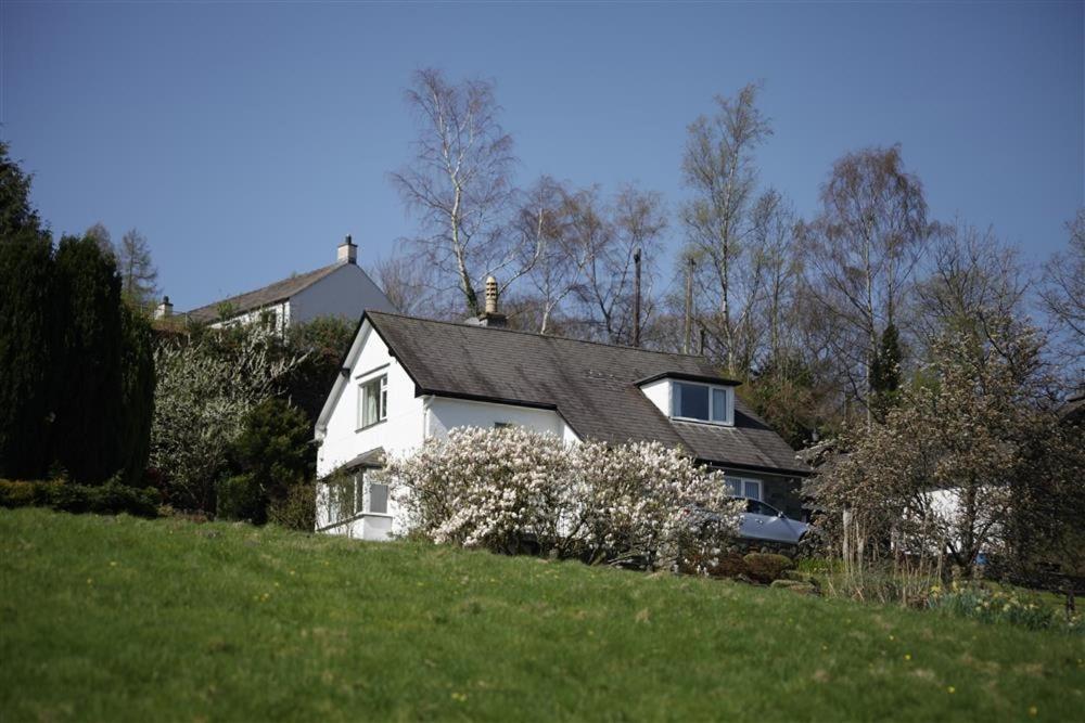 Photo 31