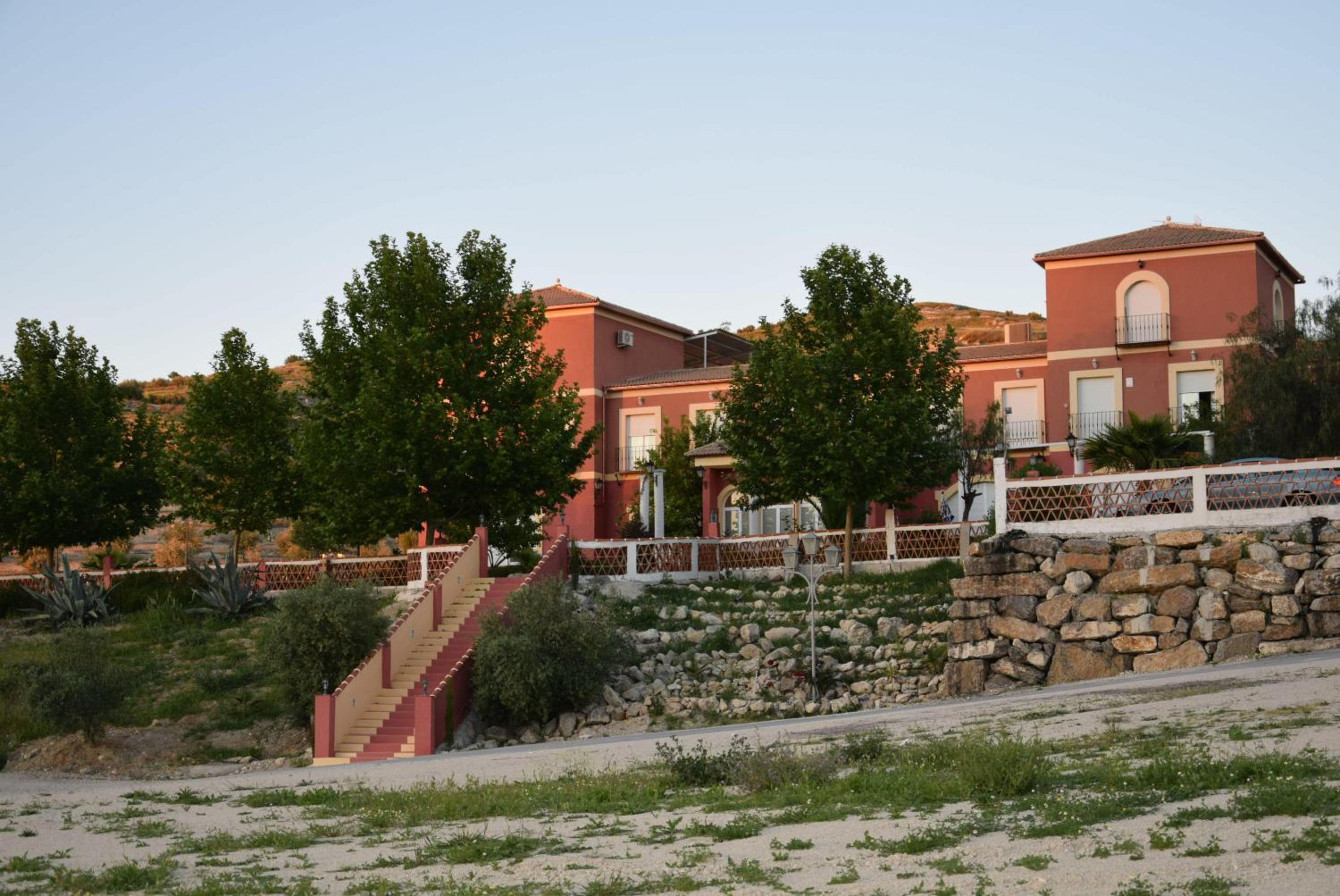 Photo 42