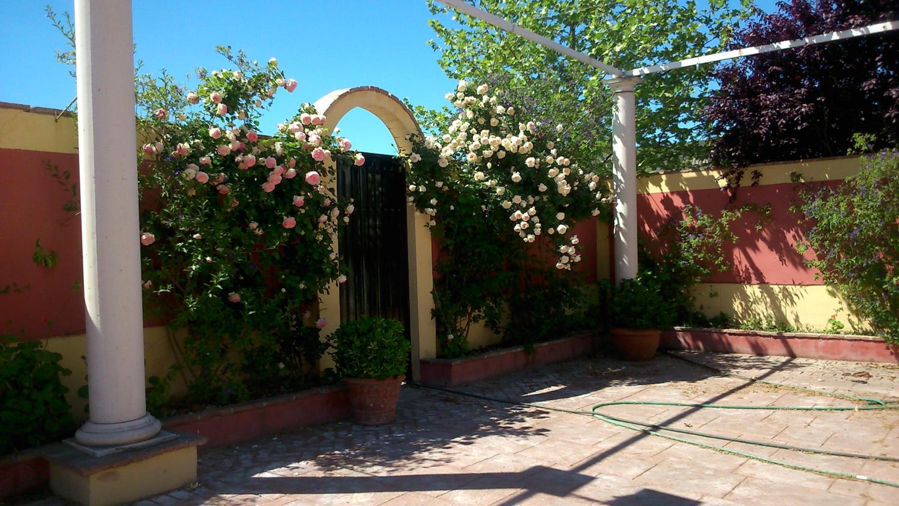 Photo 41