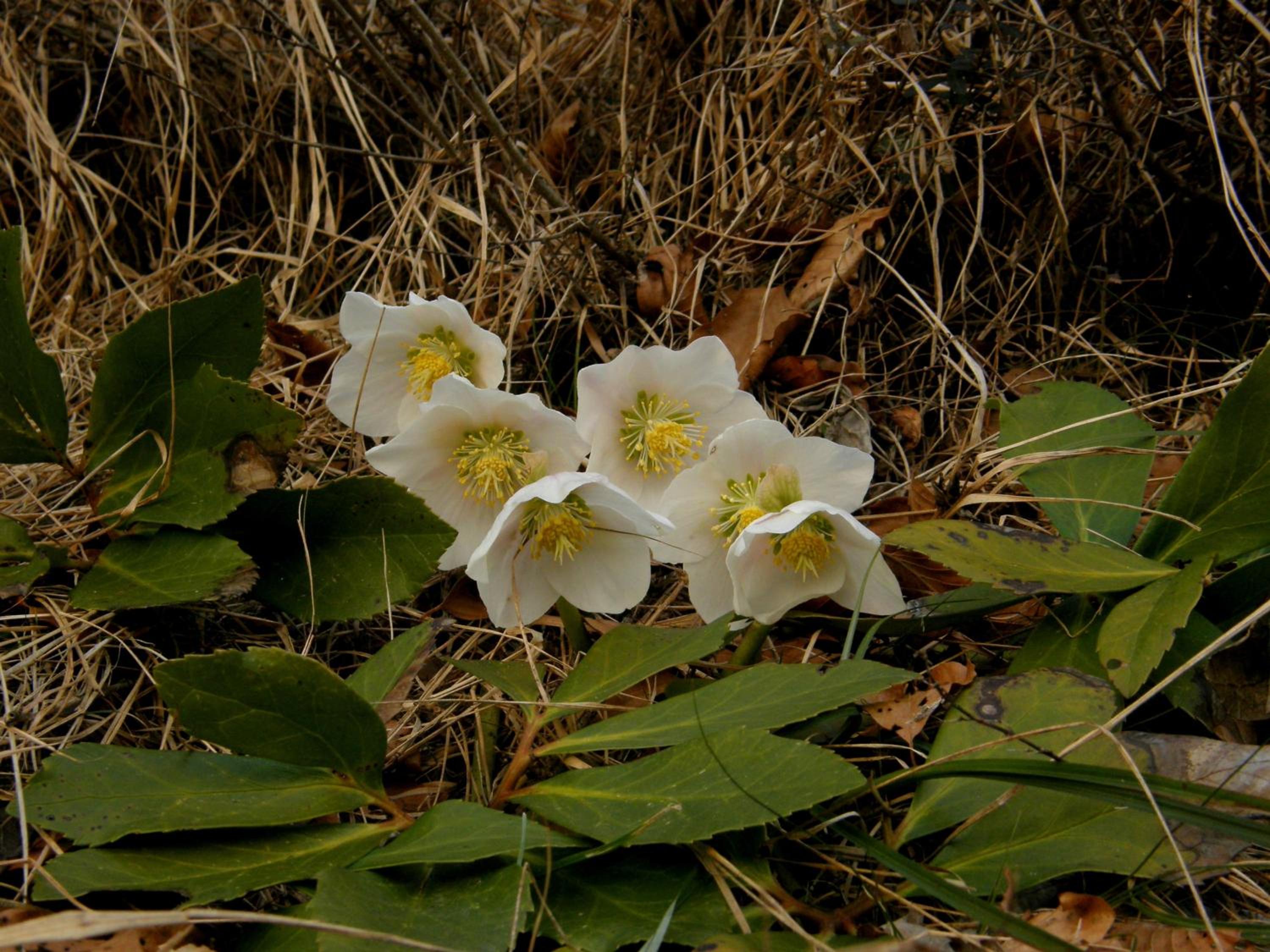 Photo 29