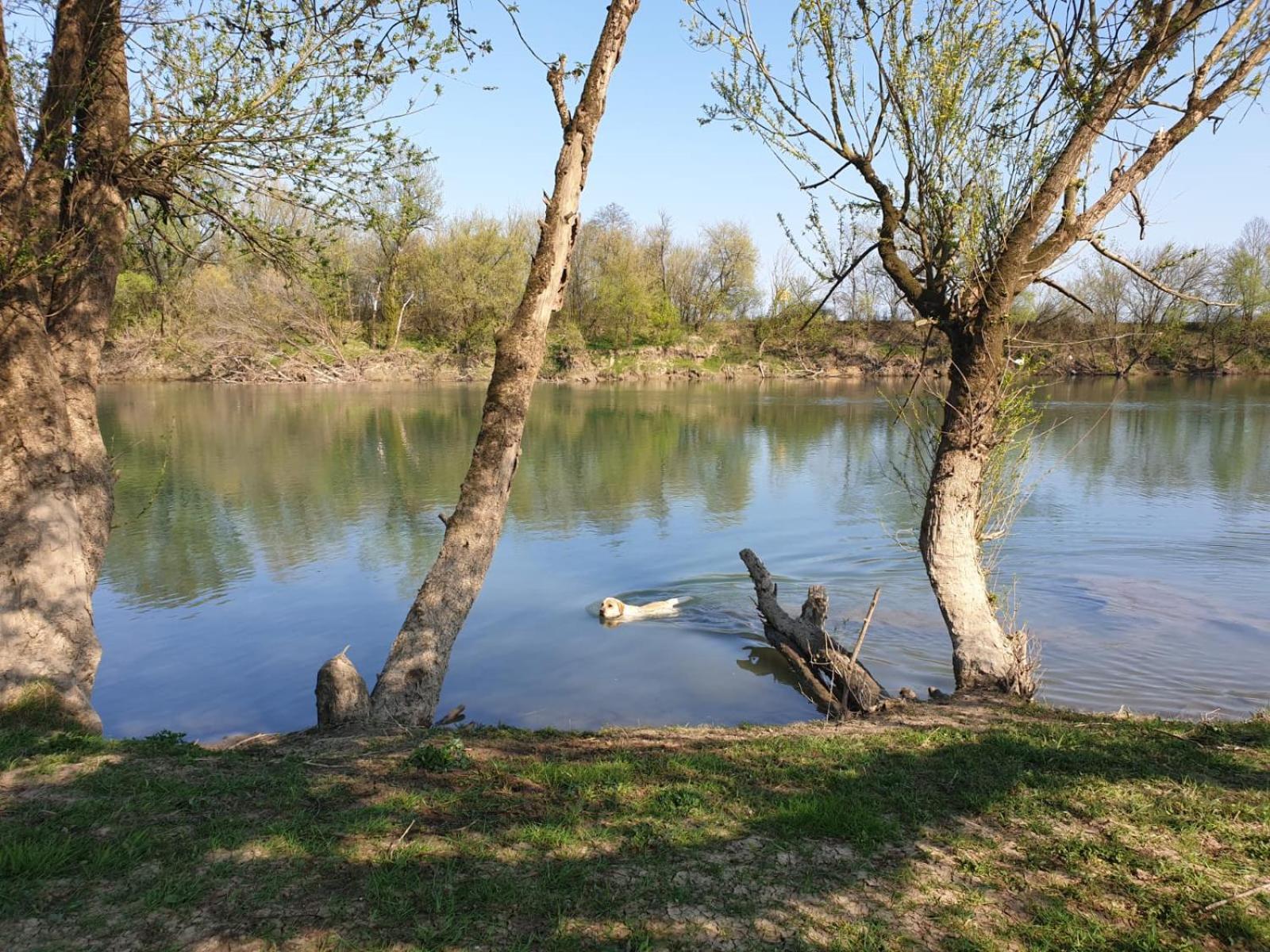 Photo 28