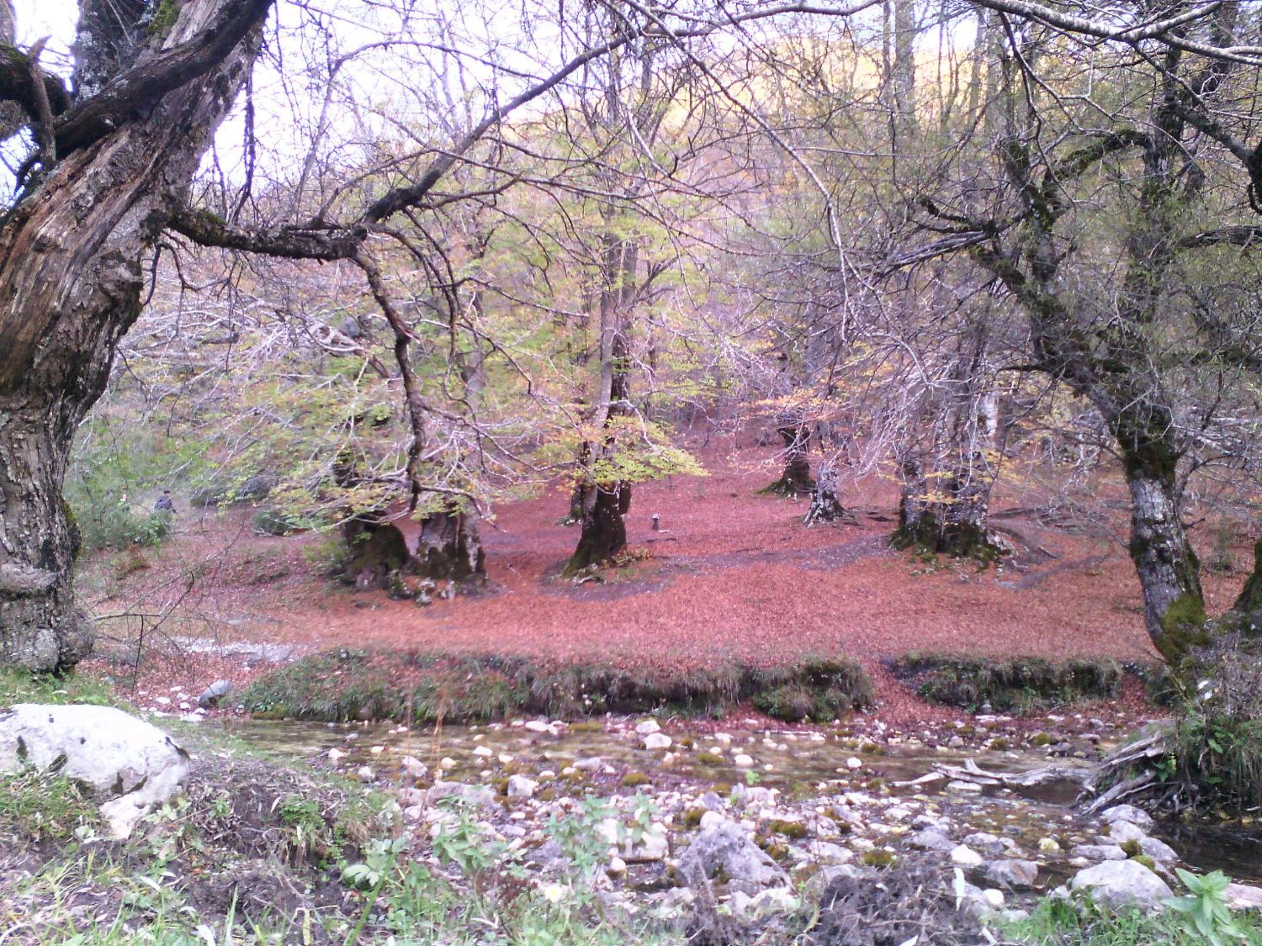 Photo 29