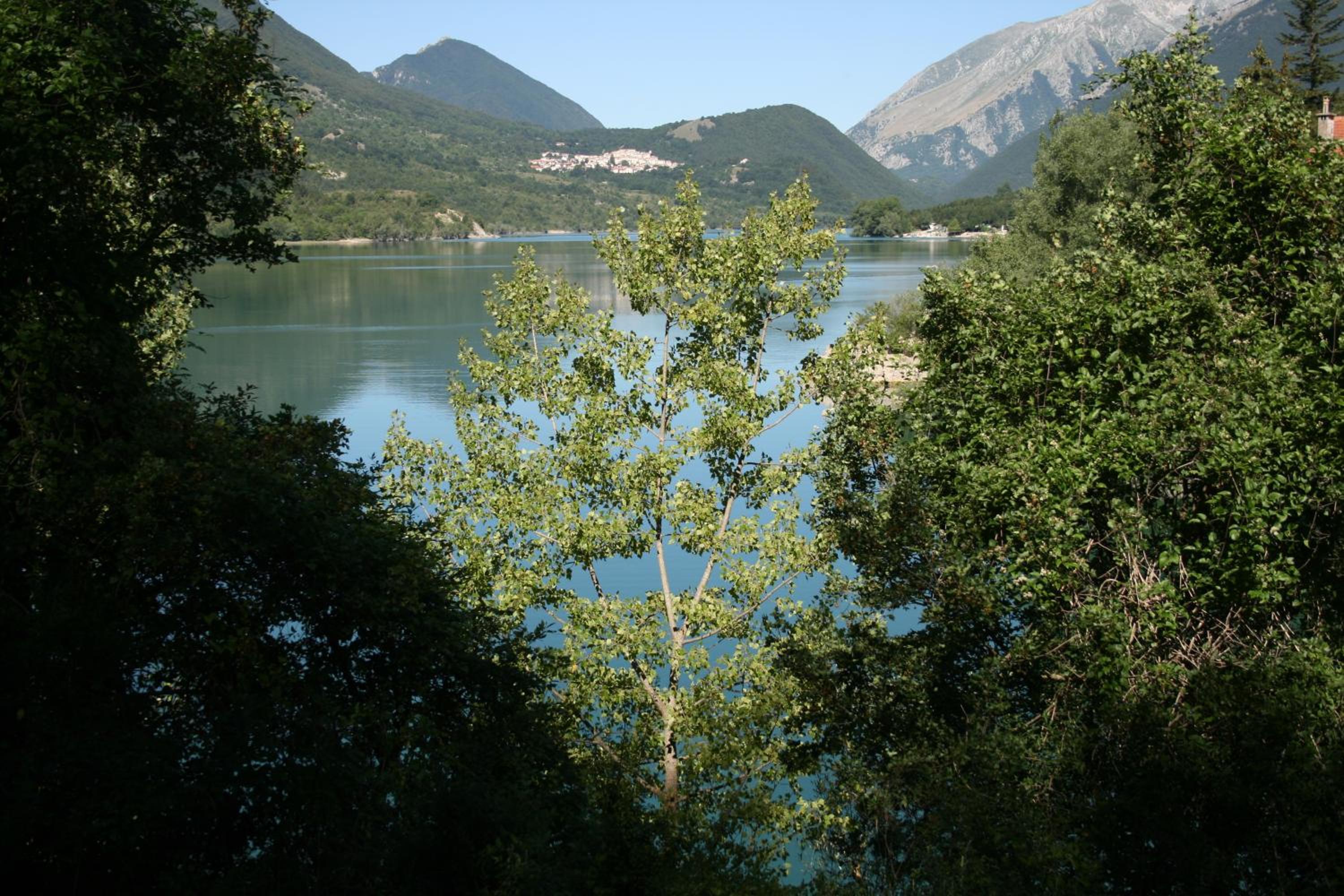 Photo 22