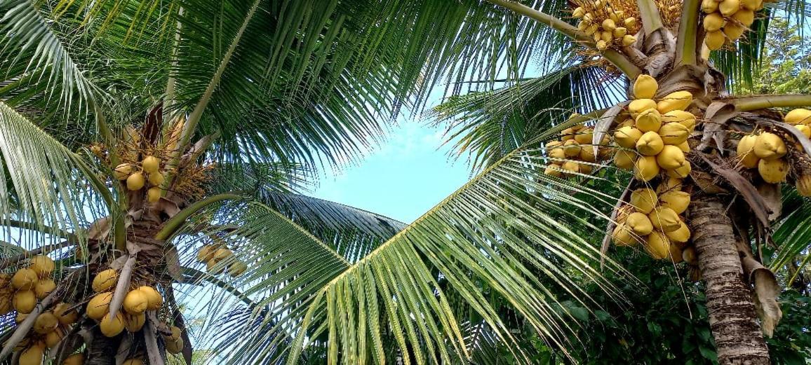 Casa de verano Condominio el Imperio