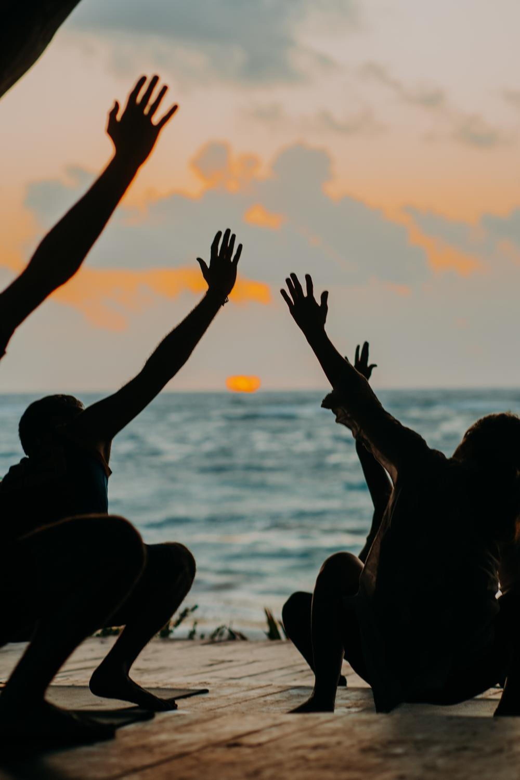 Papaya Playa Project 20