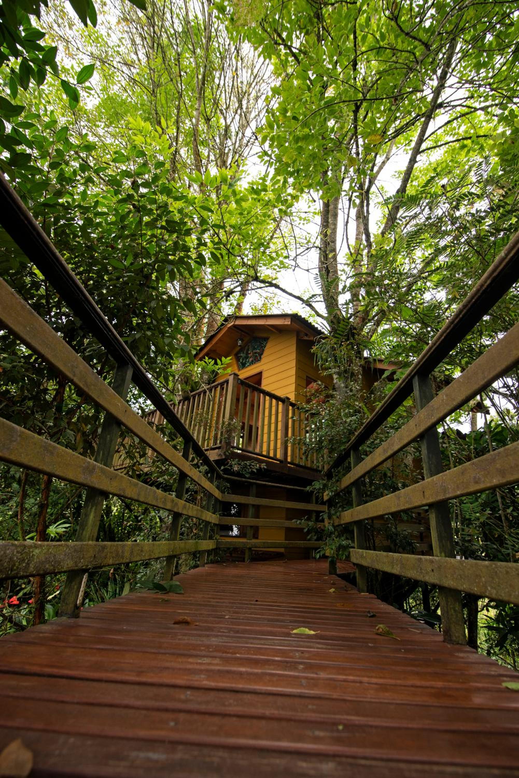 Tominejo Ecolodge - Casas en los árboles