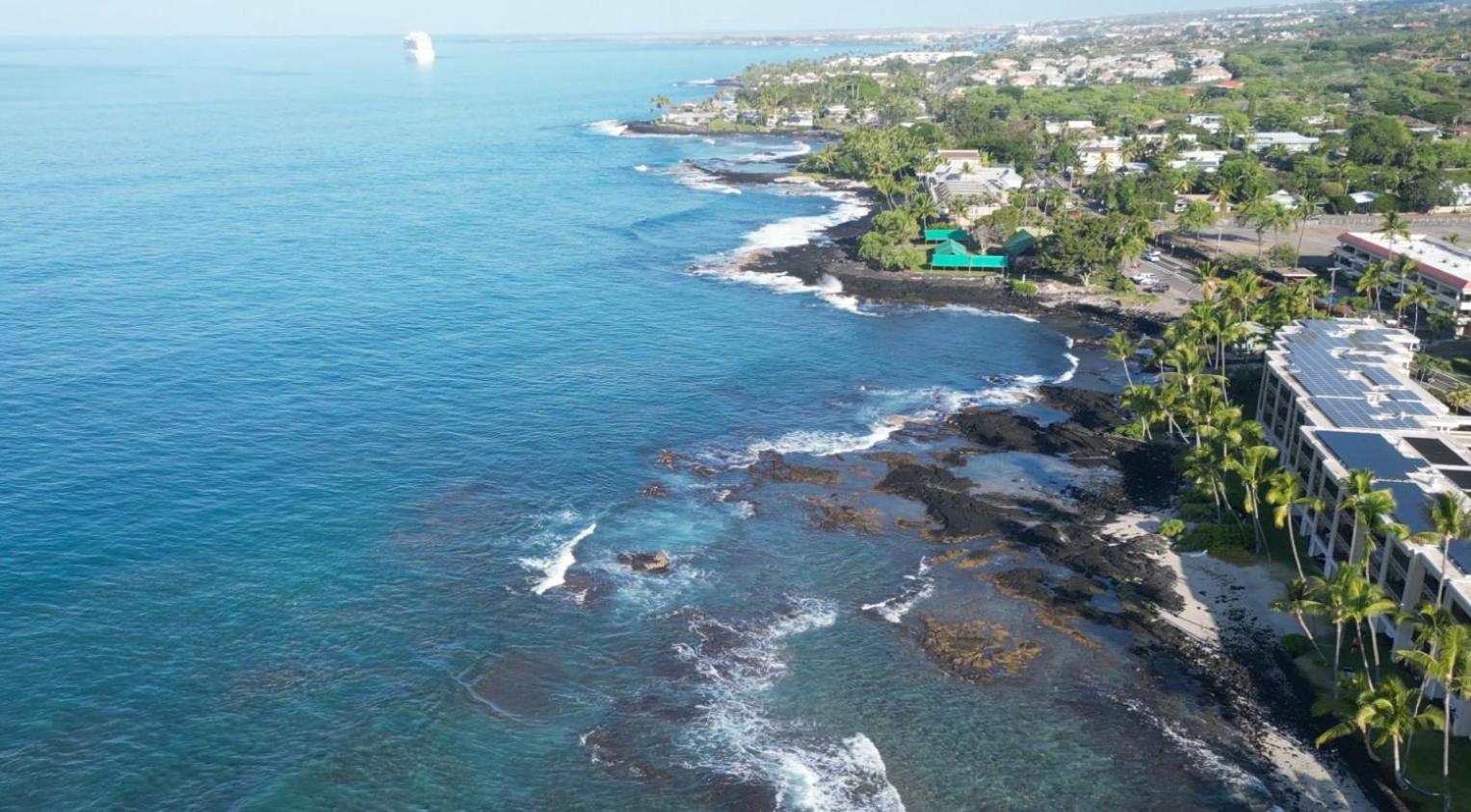 Oceanfront Luxury Condo