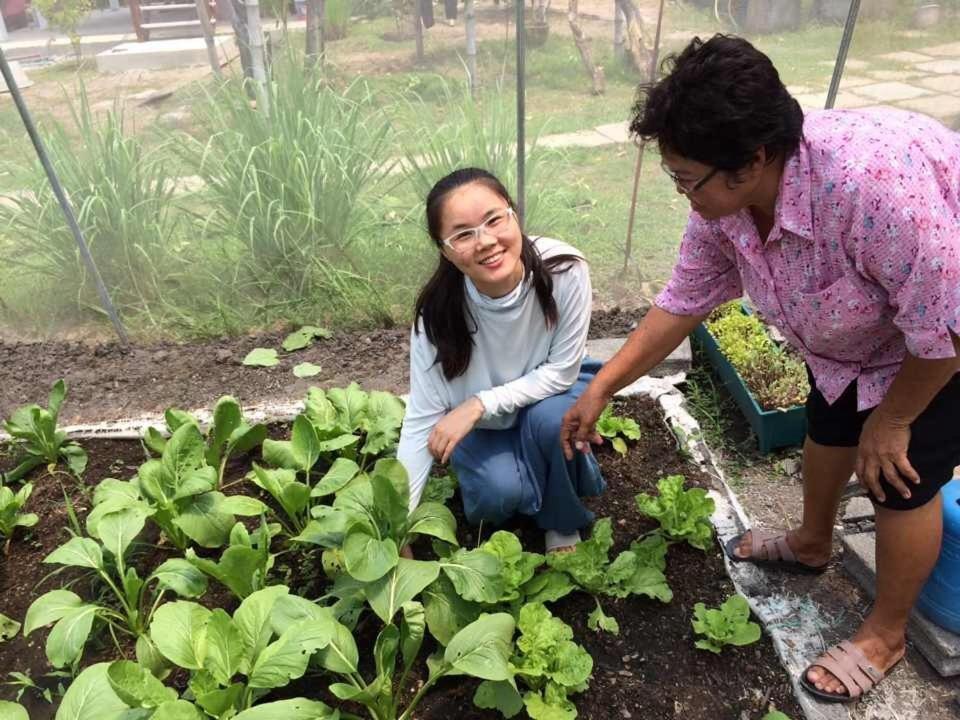 The Little Lopburi Village