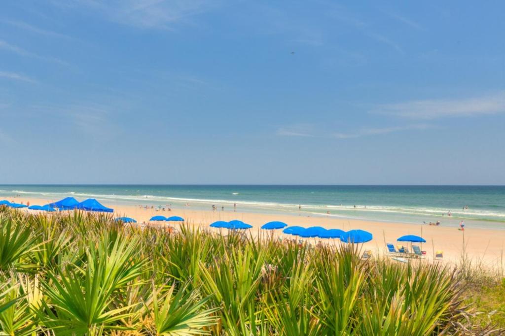 Good Times & Tan Lines Oceanview Condo Pet Friendly view 3