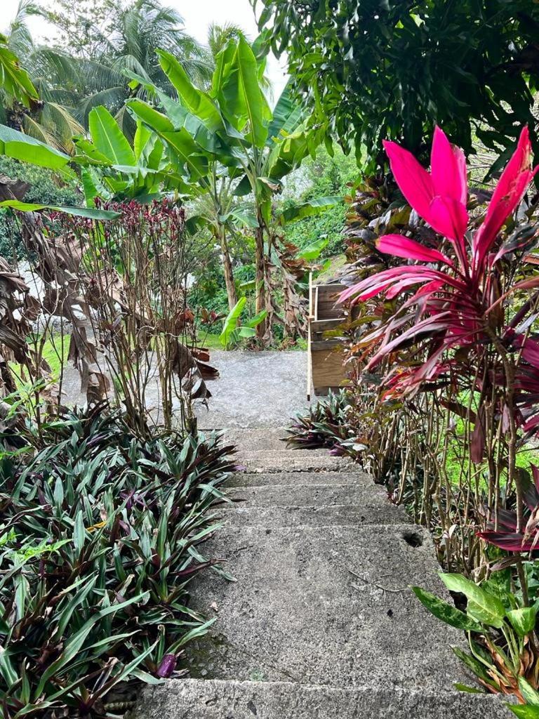 Casa del Vega a Little Peace of Heaven