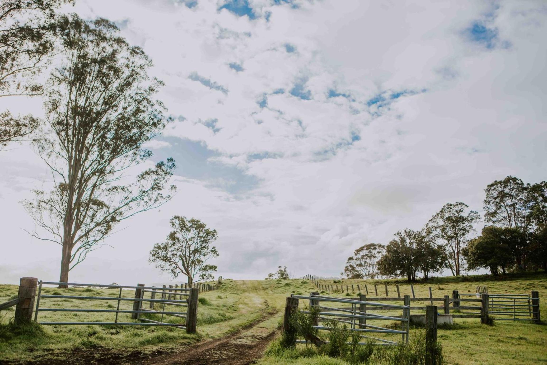 Big Bluff Farm