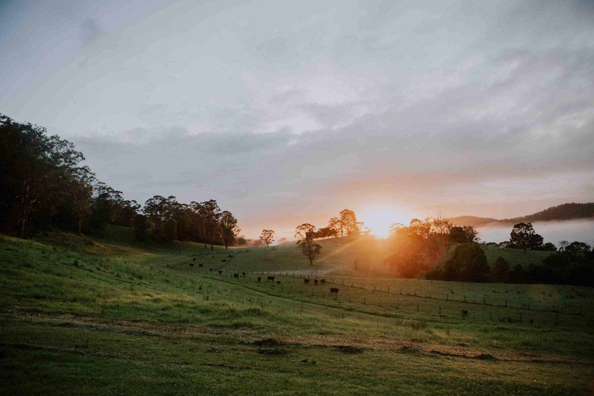 Big Bluff Farm