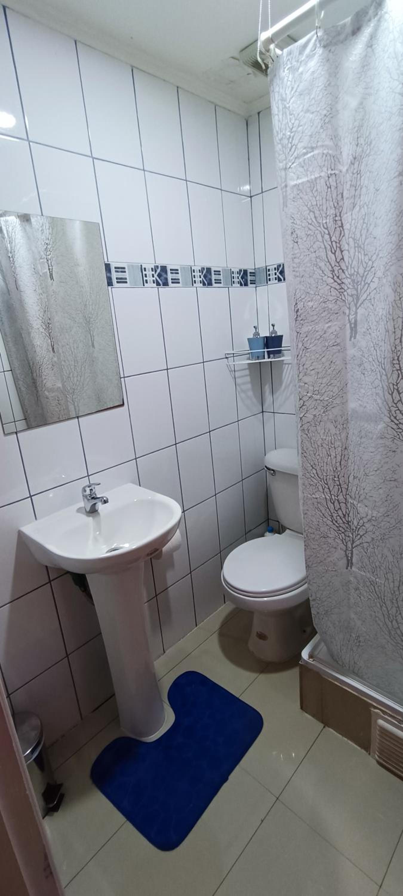 Bosque Valdiviano Apartment