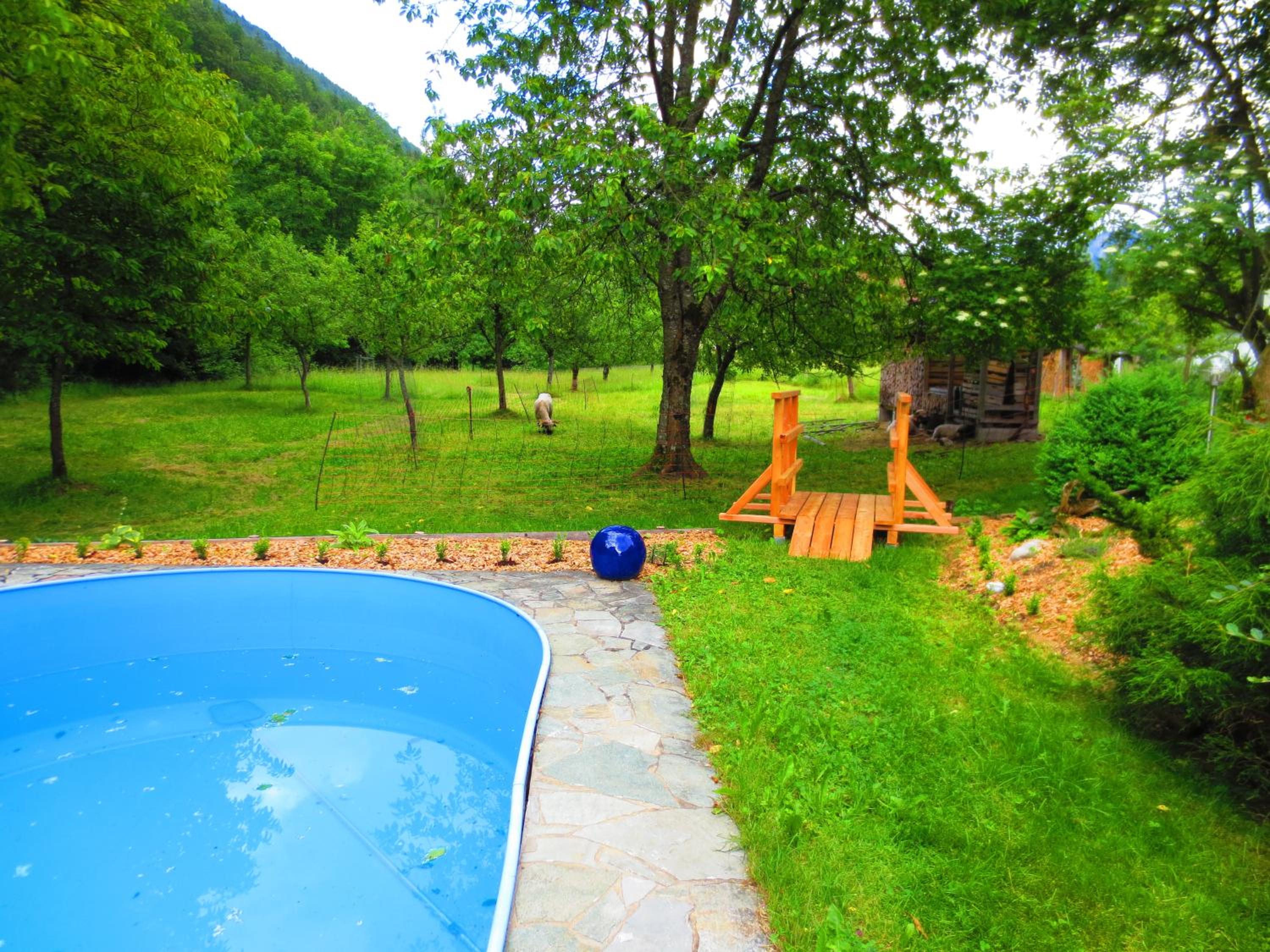 Photo 13