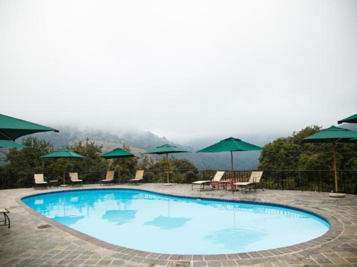 Blue Zone Leisure at Mount Sheba