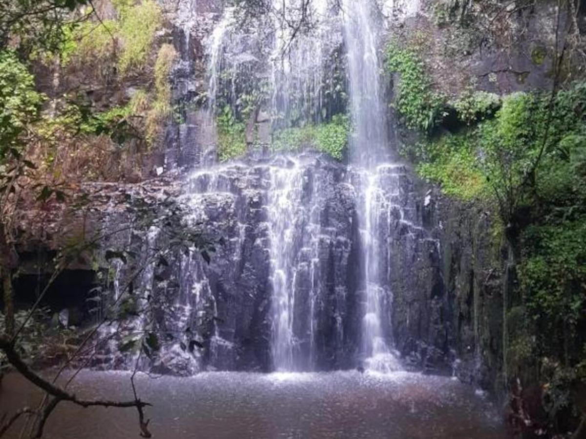Blue Zone Leisure at Mount Sheba
