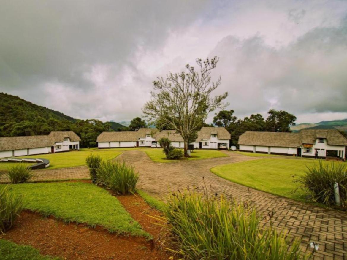 Blue Zone Leisure at Mount Sheba