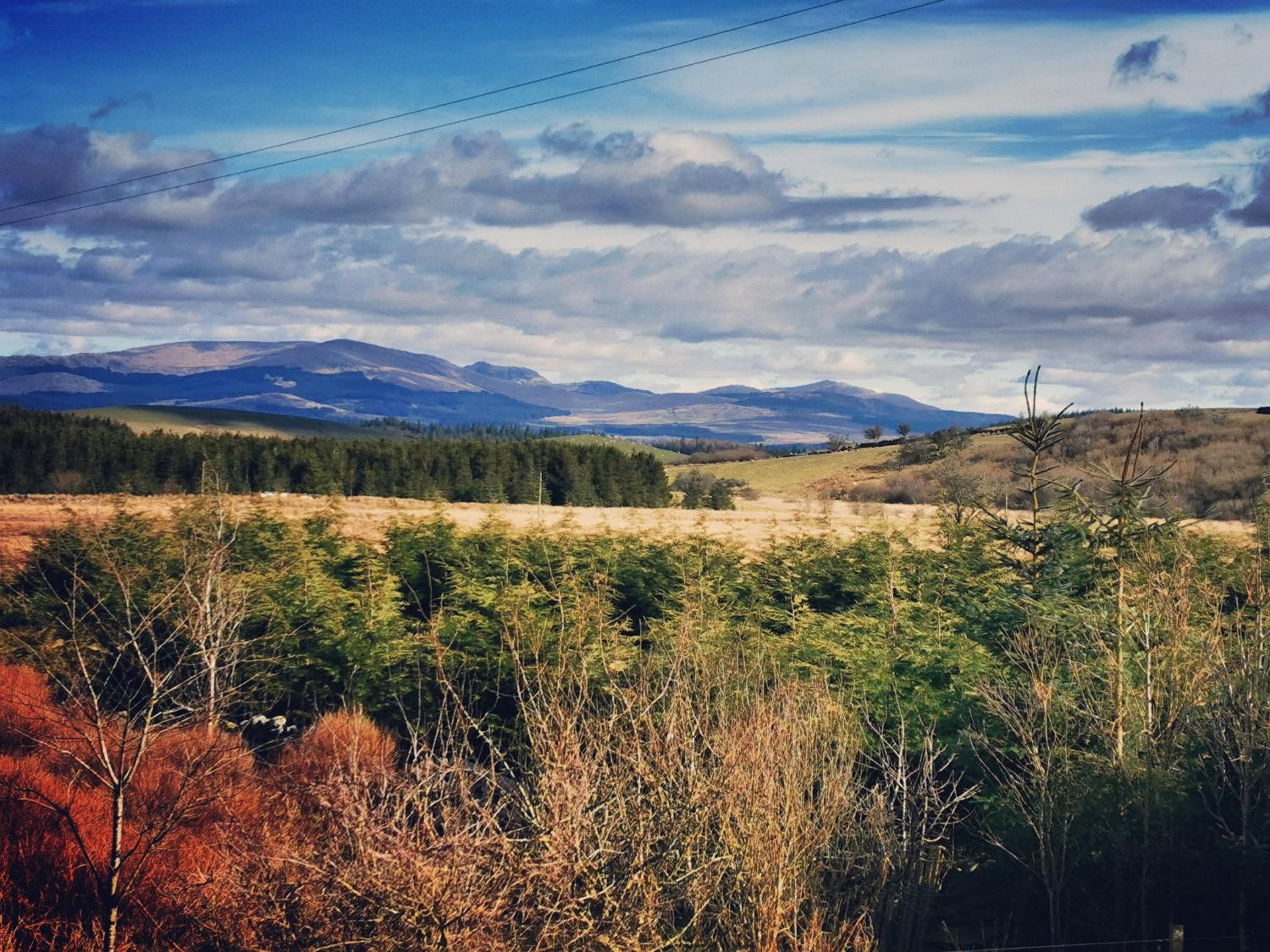 The Bothy, fotografía 3