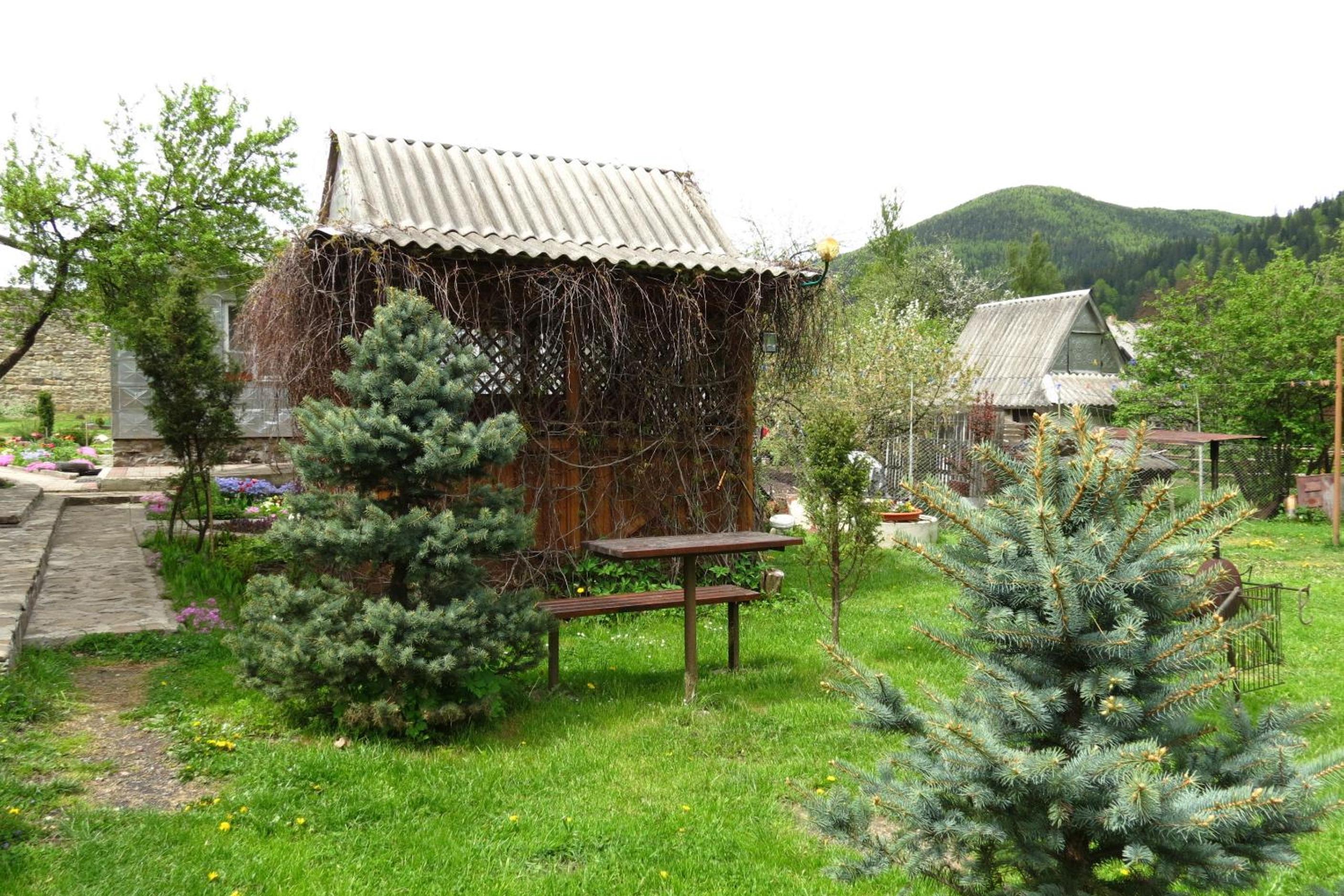 Photo 13