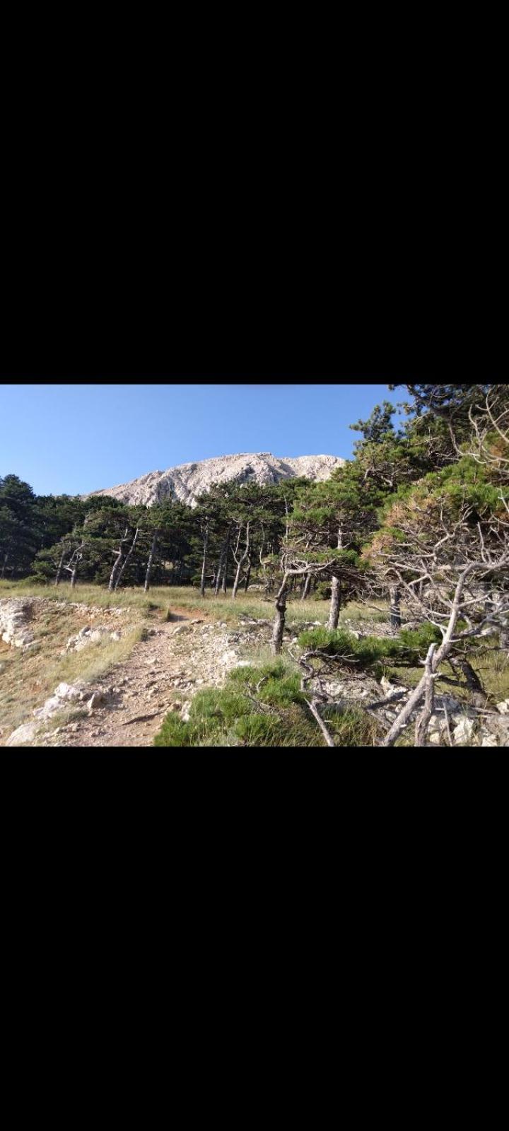 Apartmani BAŠKA