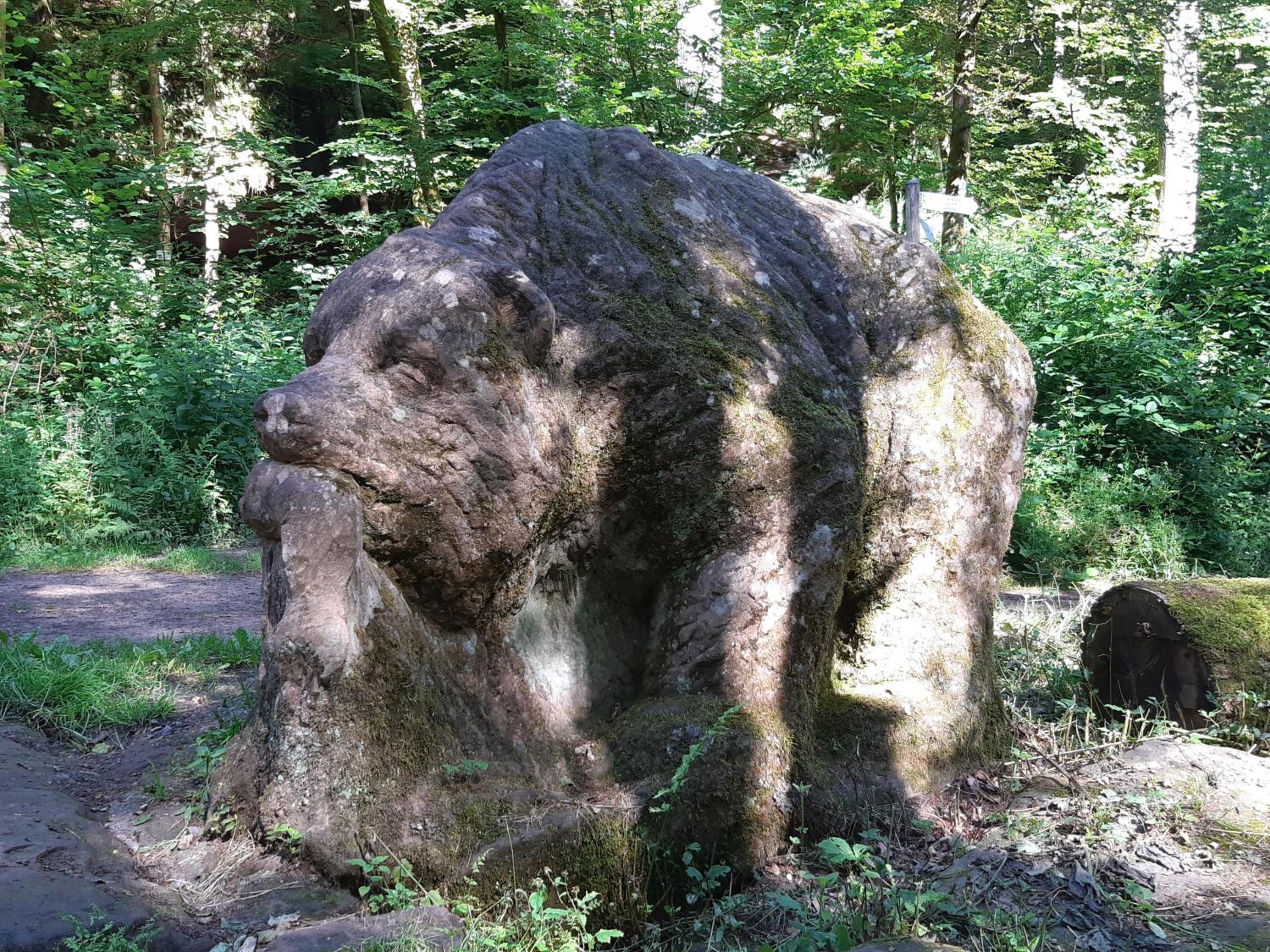 Gemütliche Fewo am Felsenwanderweg