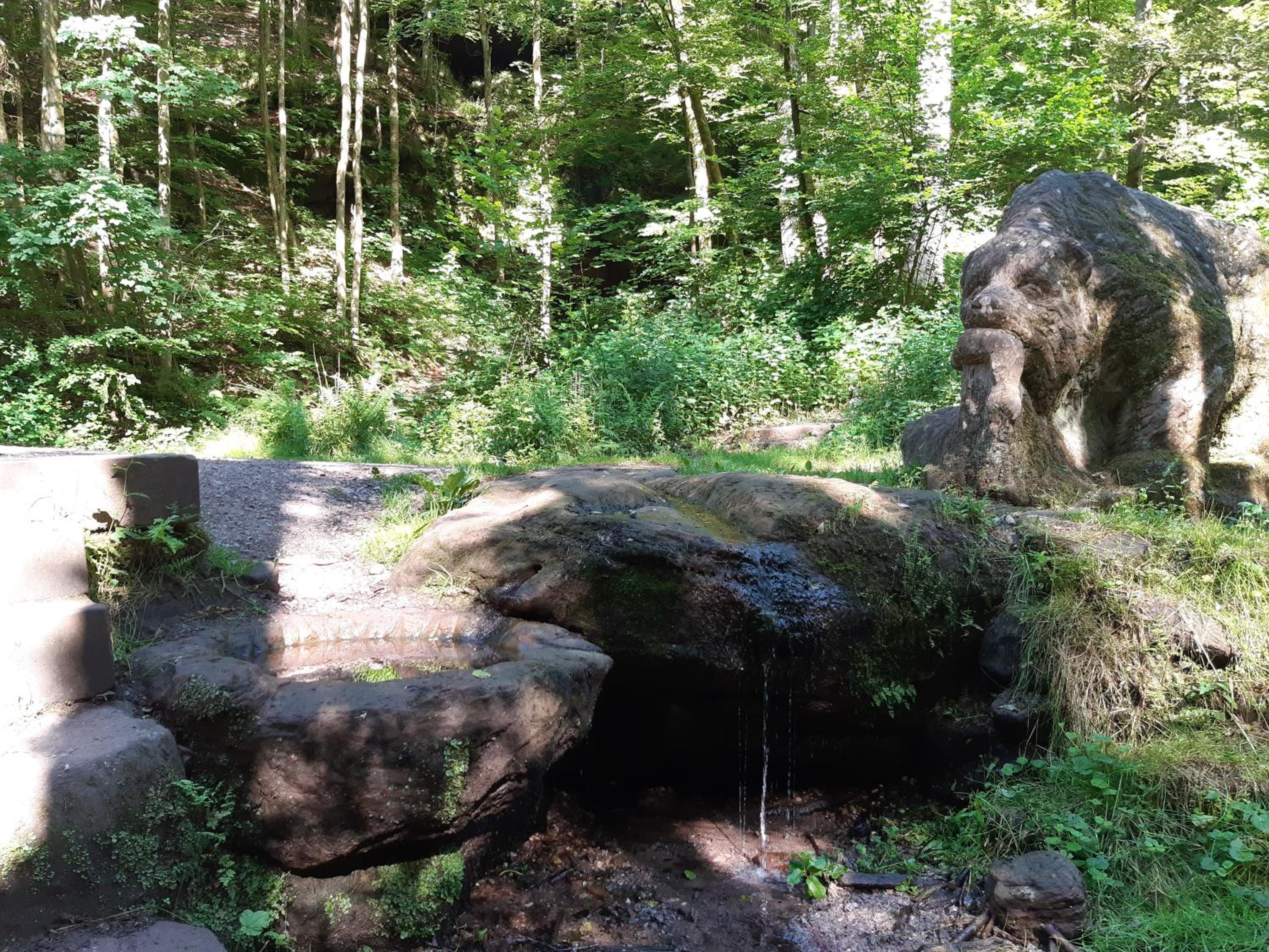 Gemütliche Fewo am Felsenwanderweg