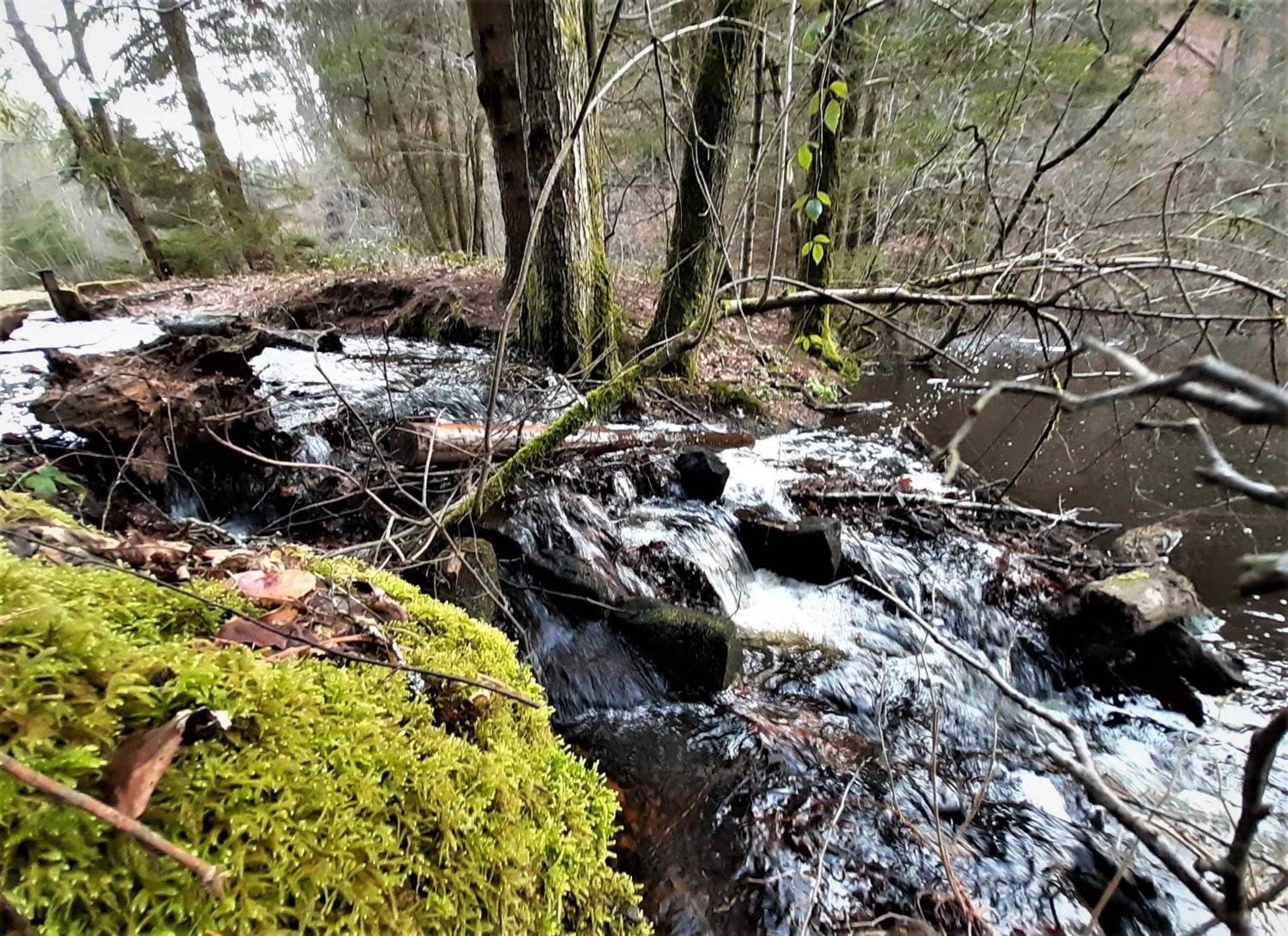 Gemütliche Fewo am Felsenwanderweg