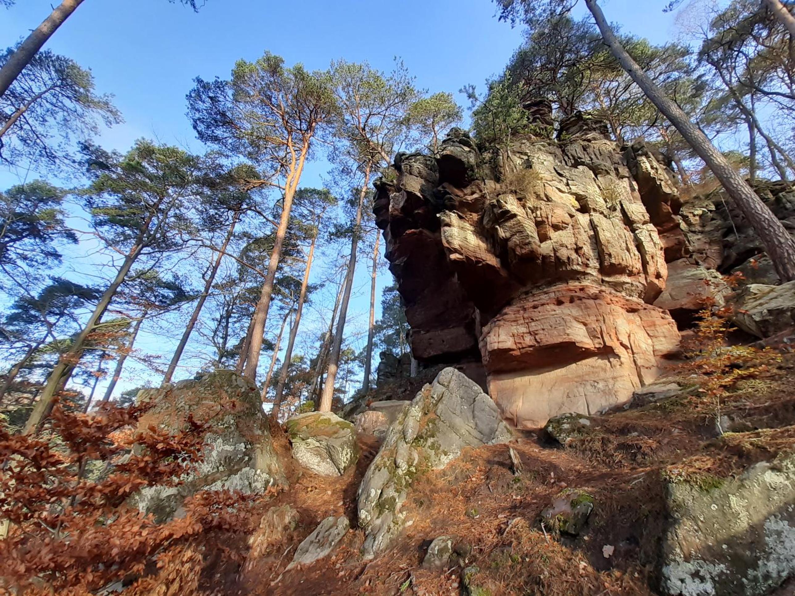Gemütliche Fewo am Felsenwanderweg