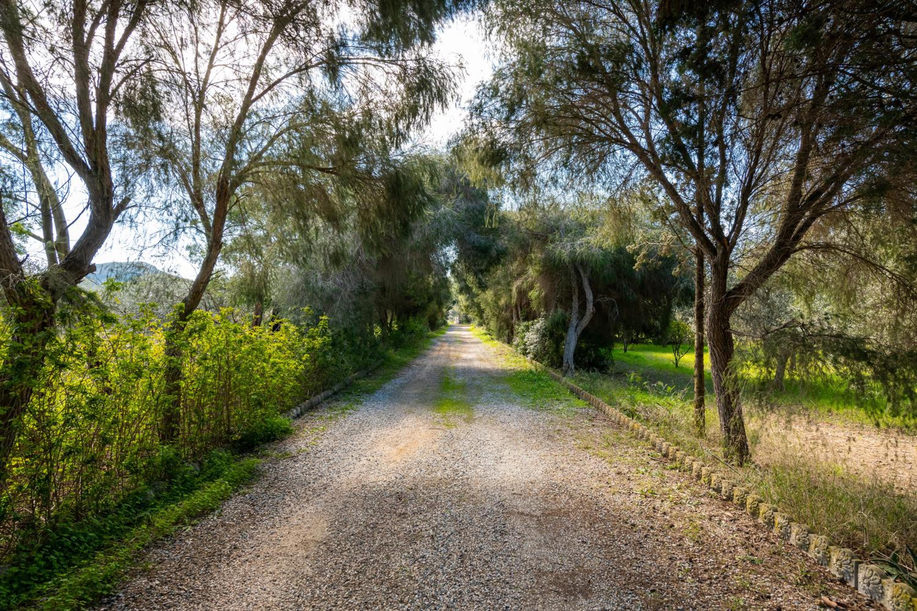 La Mansarda nel Parco view 2