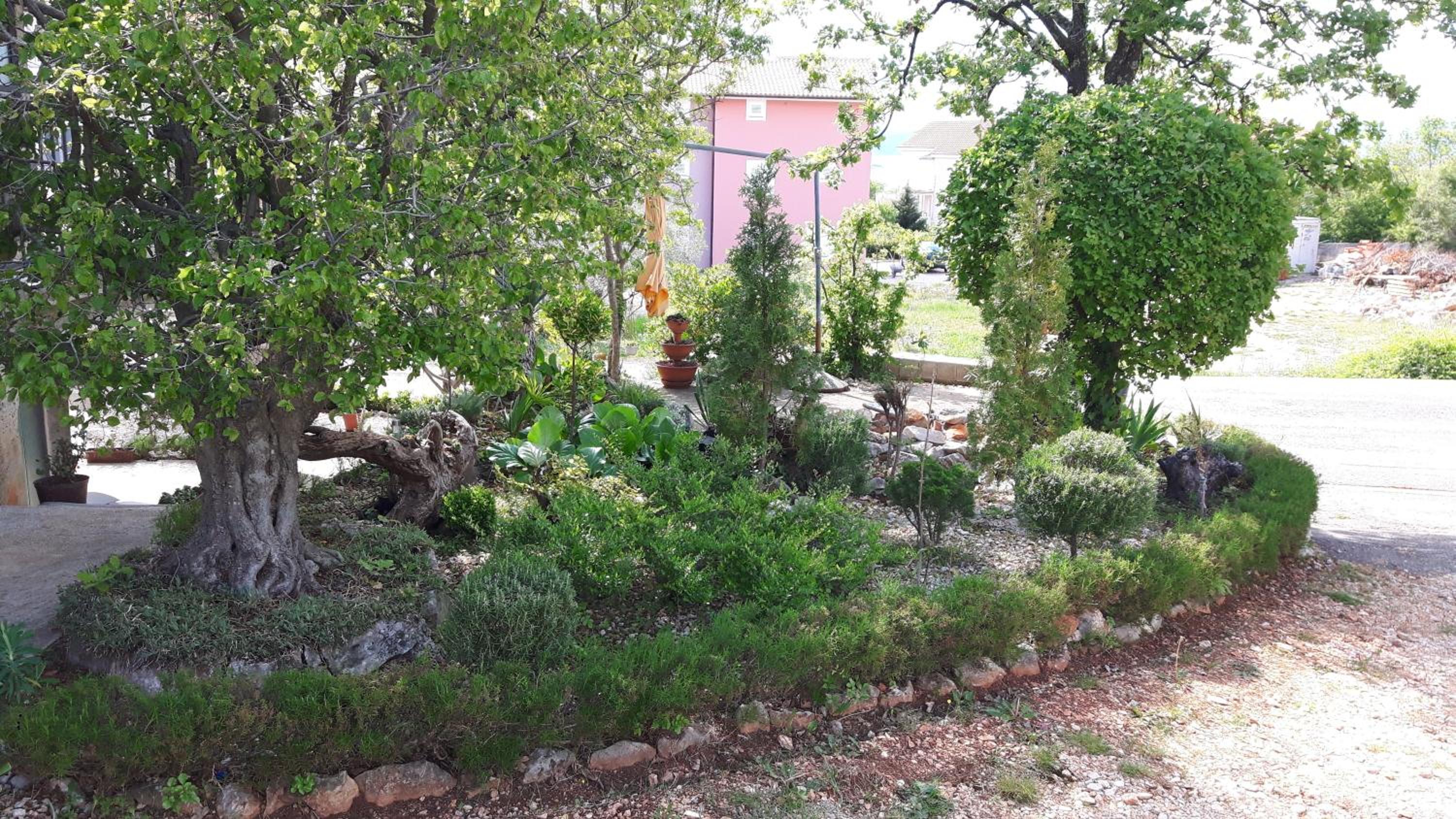 Apartmani Bilandžić-Krk photo 3
