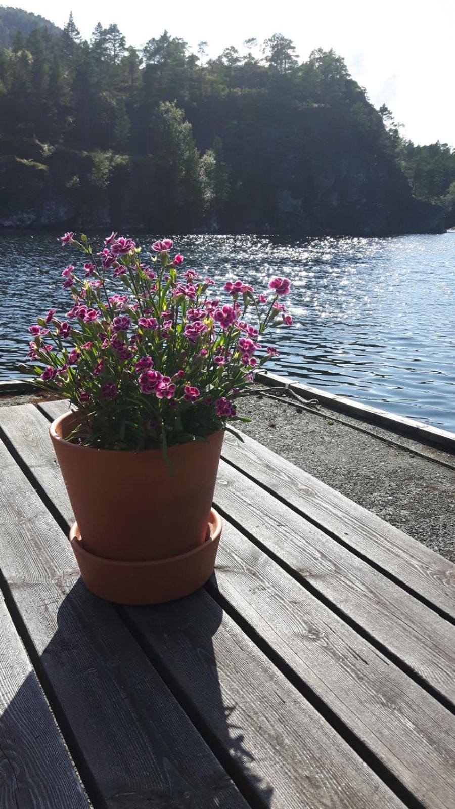 Holtarheim, holidayhouse, boat included view 5