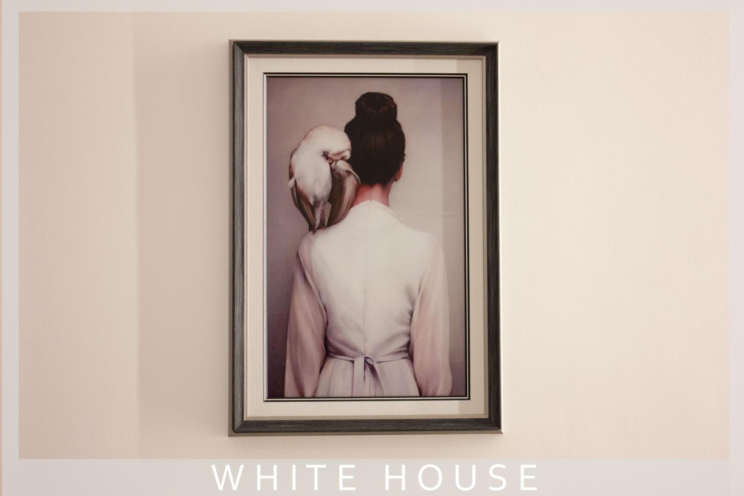 White House view 5