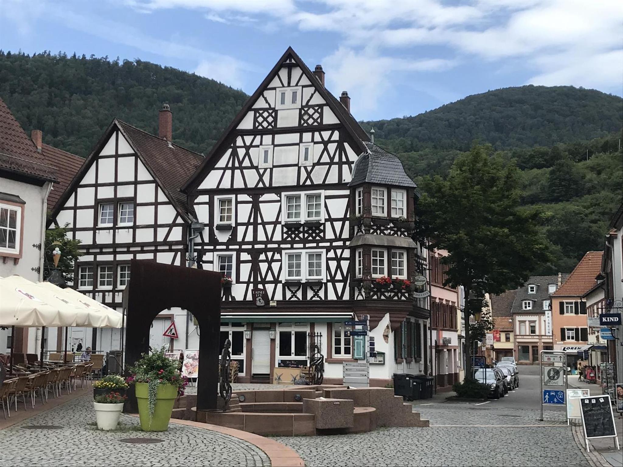 Ferienwohnungen Annweiler am Trifels - Property Image 17