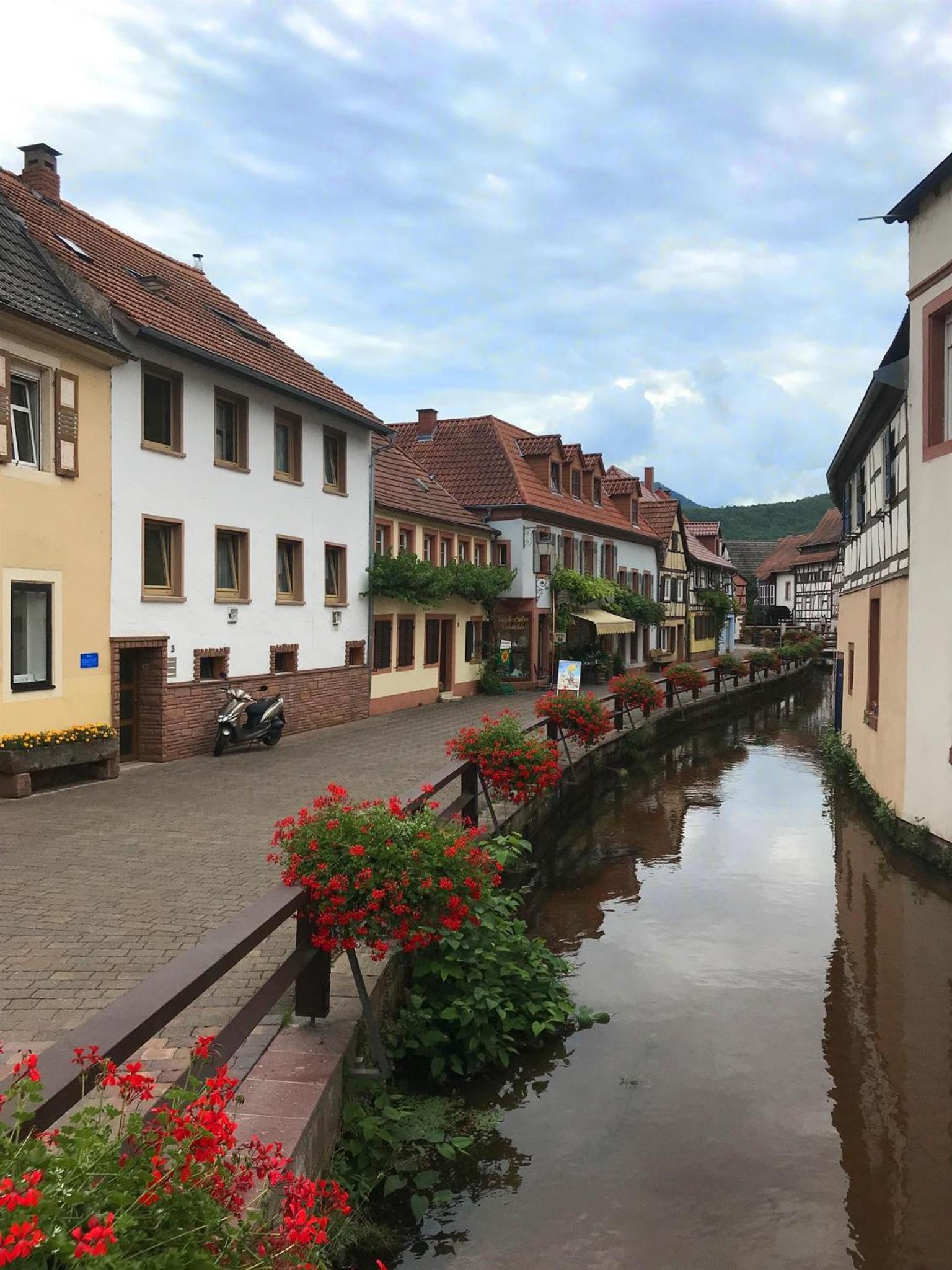 Ferienwohnungen Annweiler am Trifels - Property Image 2