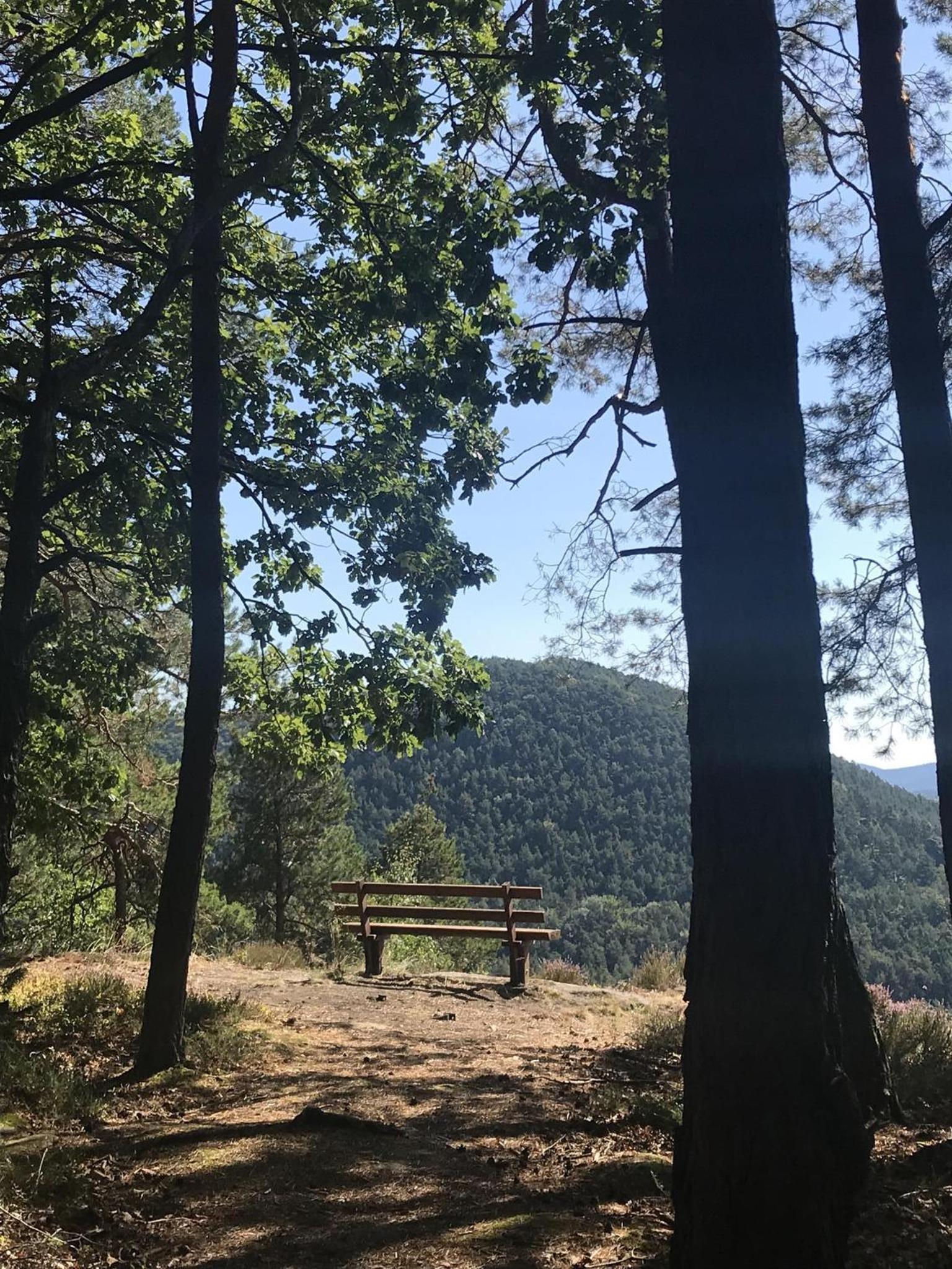 Ferienwohnungen Annweiler am Trifels - Property Image 15