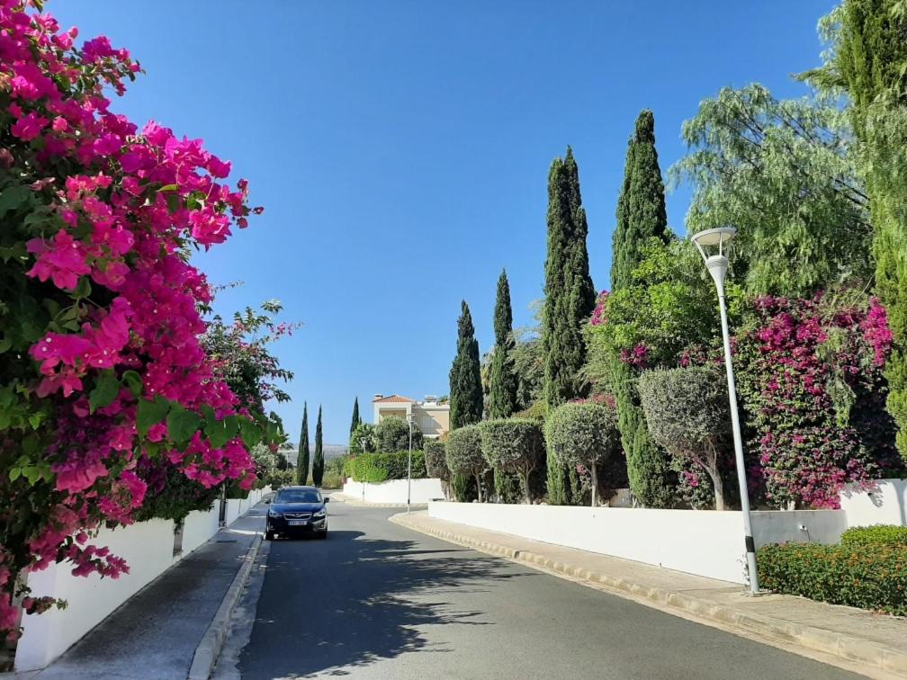 Latchi bay Evergreen villa resort