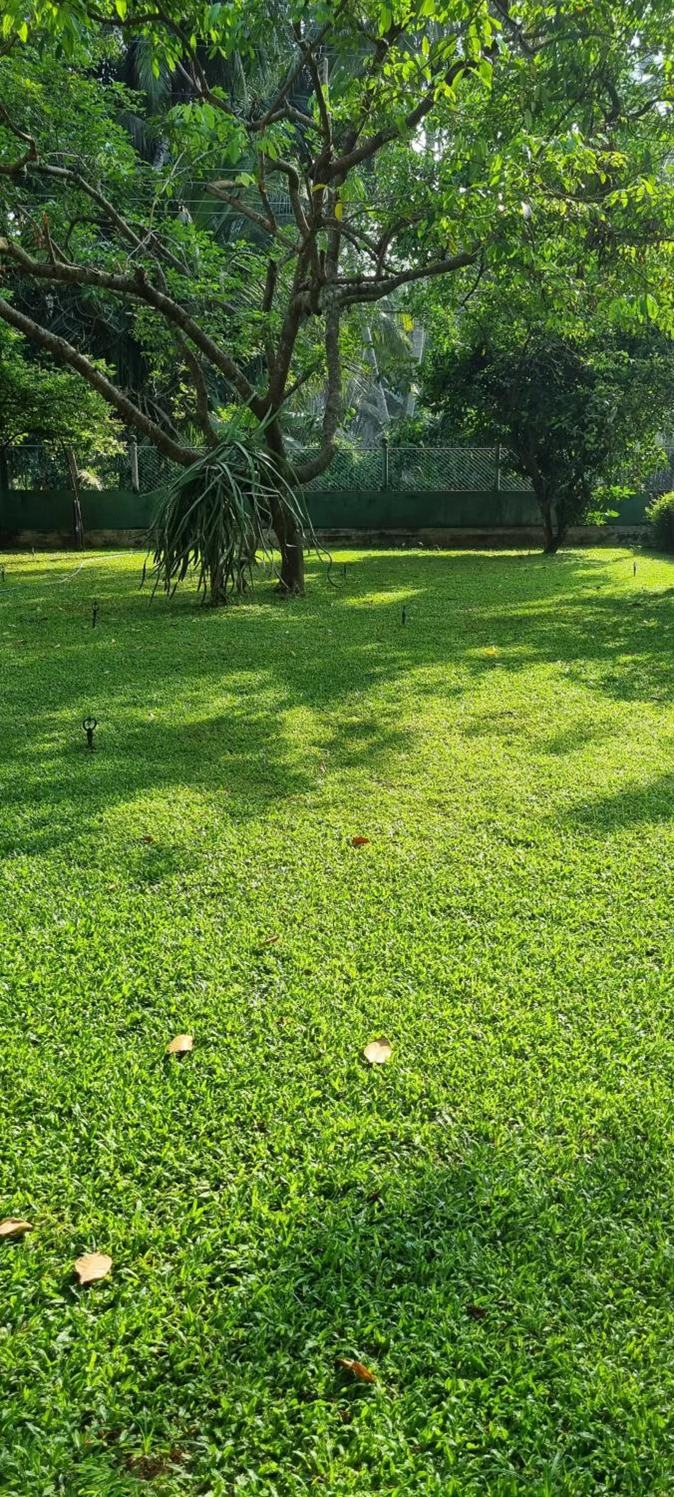 Kumudu Home Stay view 2