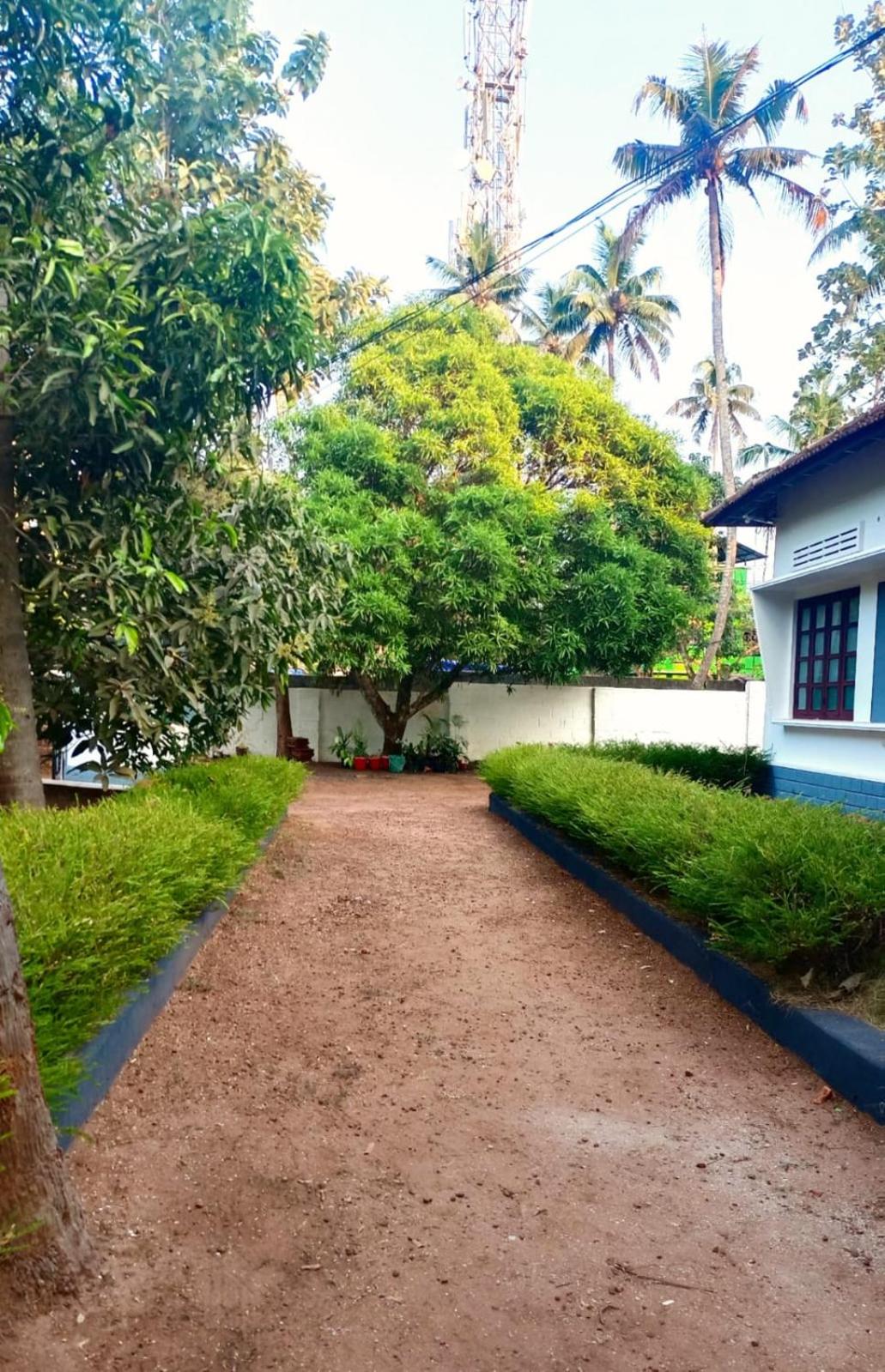 Zebra Hostels view 5