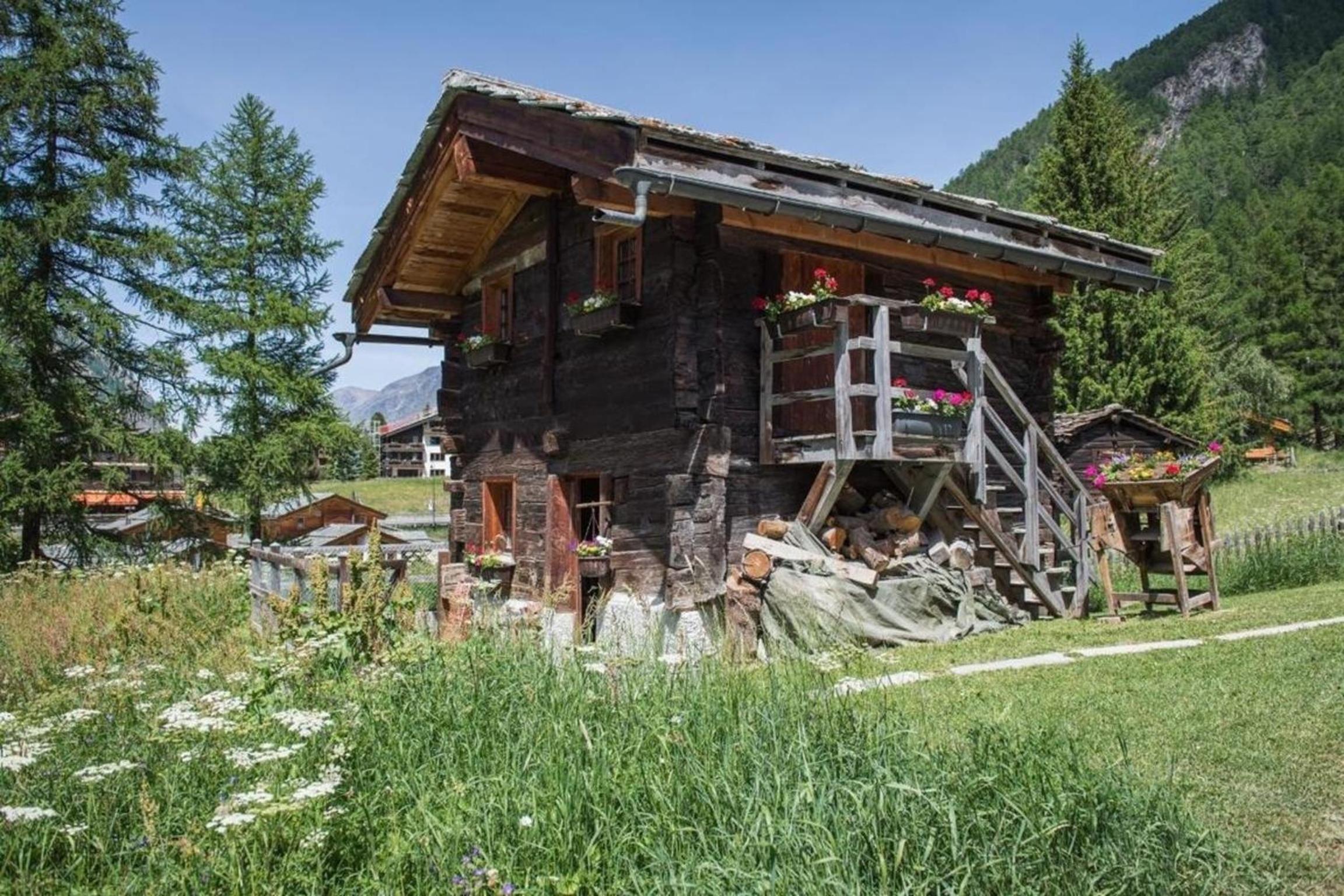 Top Ferienwohnung Dom Skiin Skiout