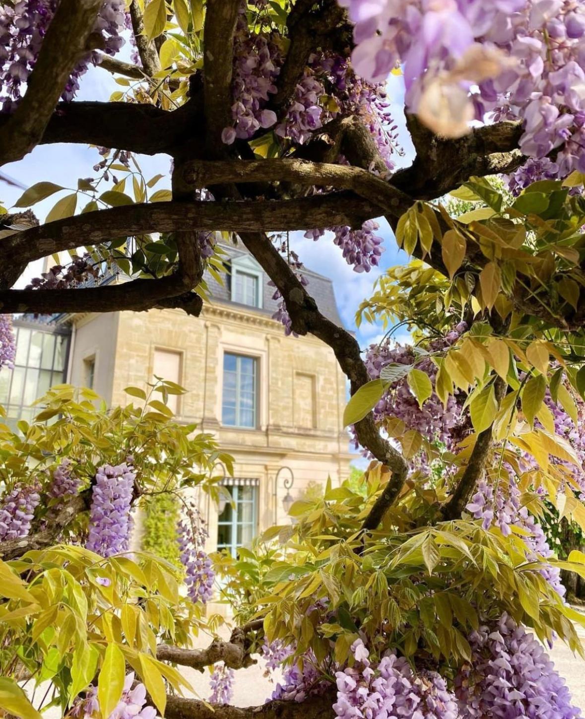 Domaine Des Bidaudieres