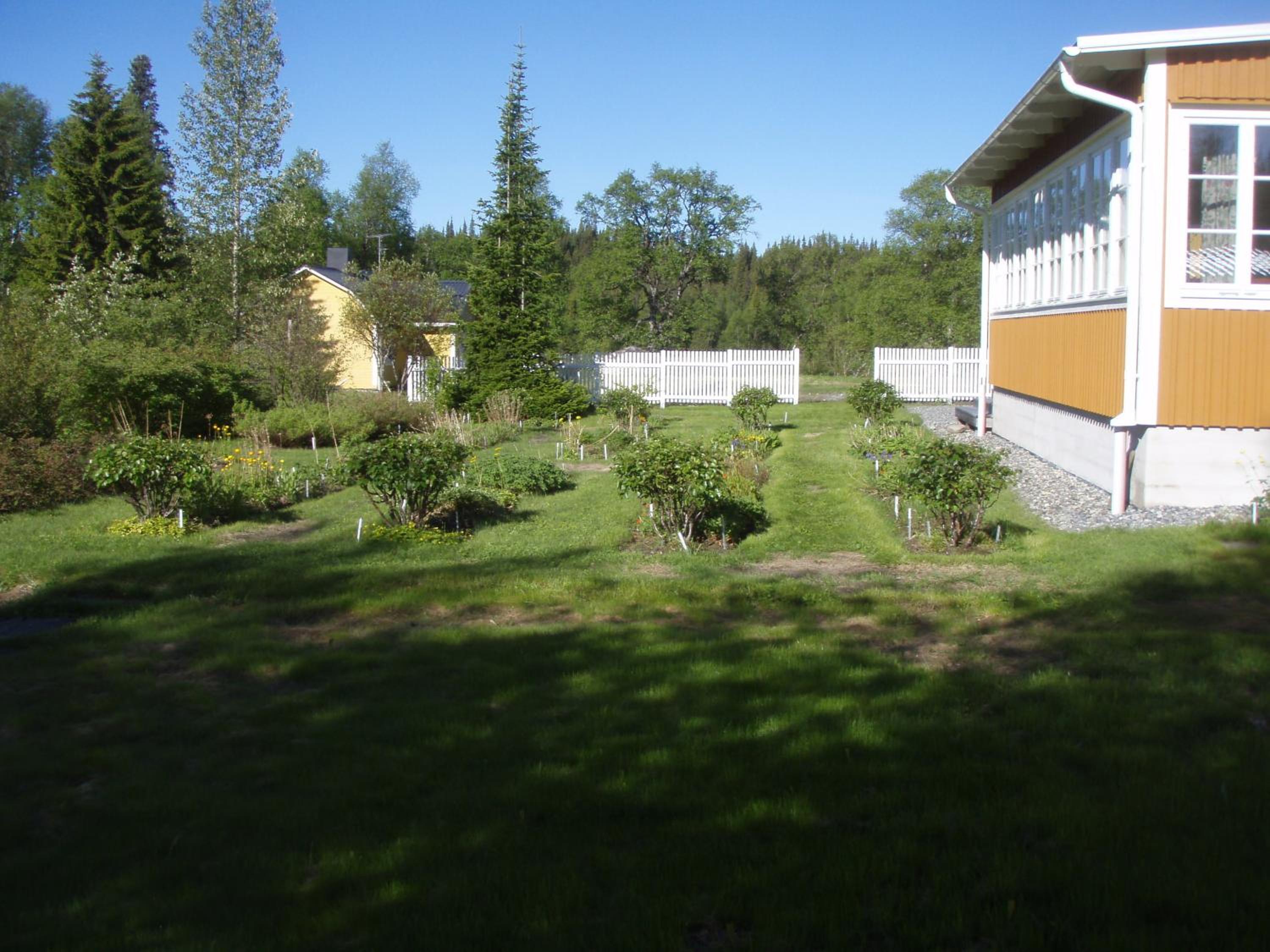 Enaforsholm Fjällgård