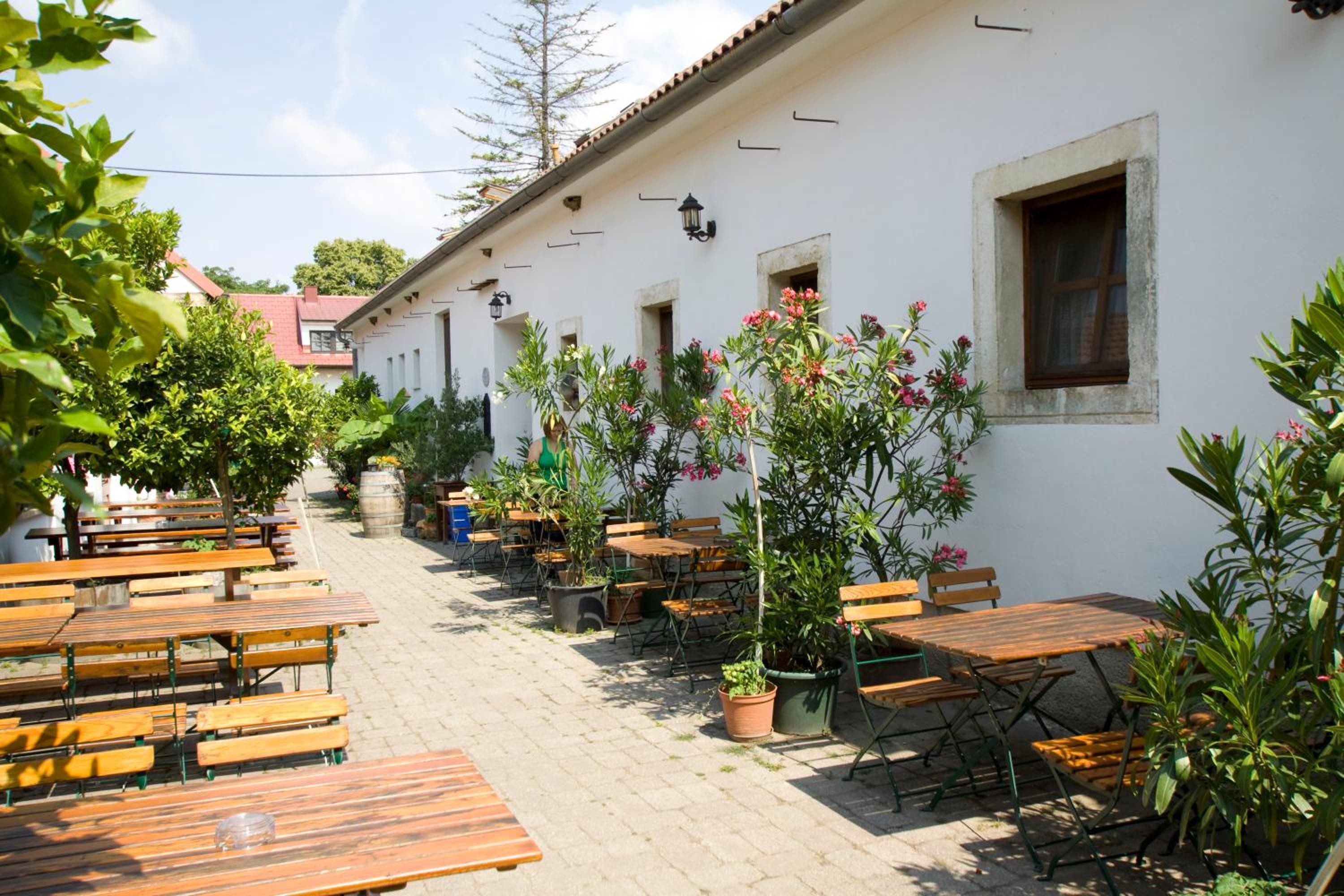 Weingut Guttmann - Apartment Schwalbennester