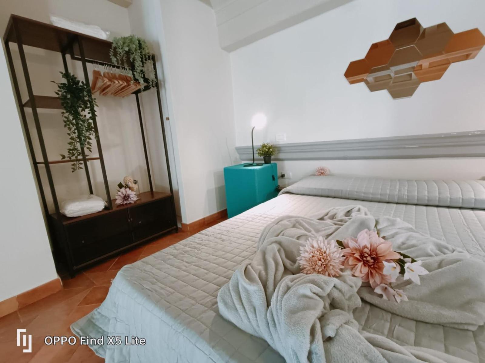 Fabroniana apartment Elegant