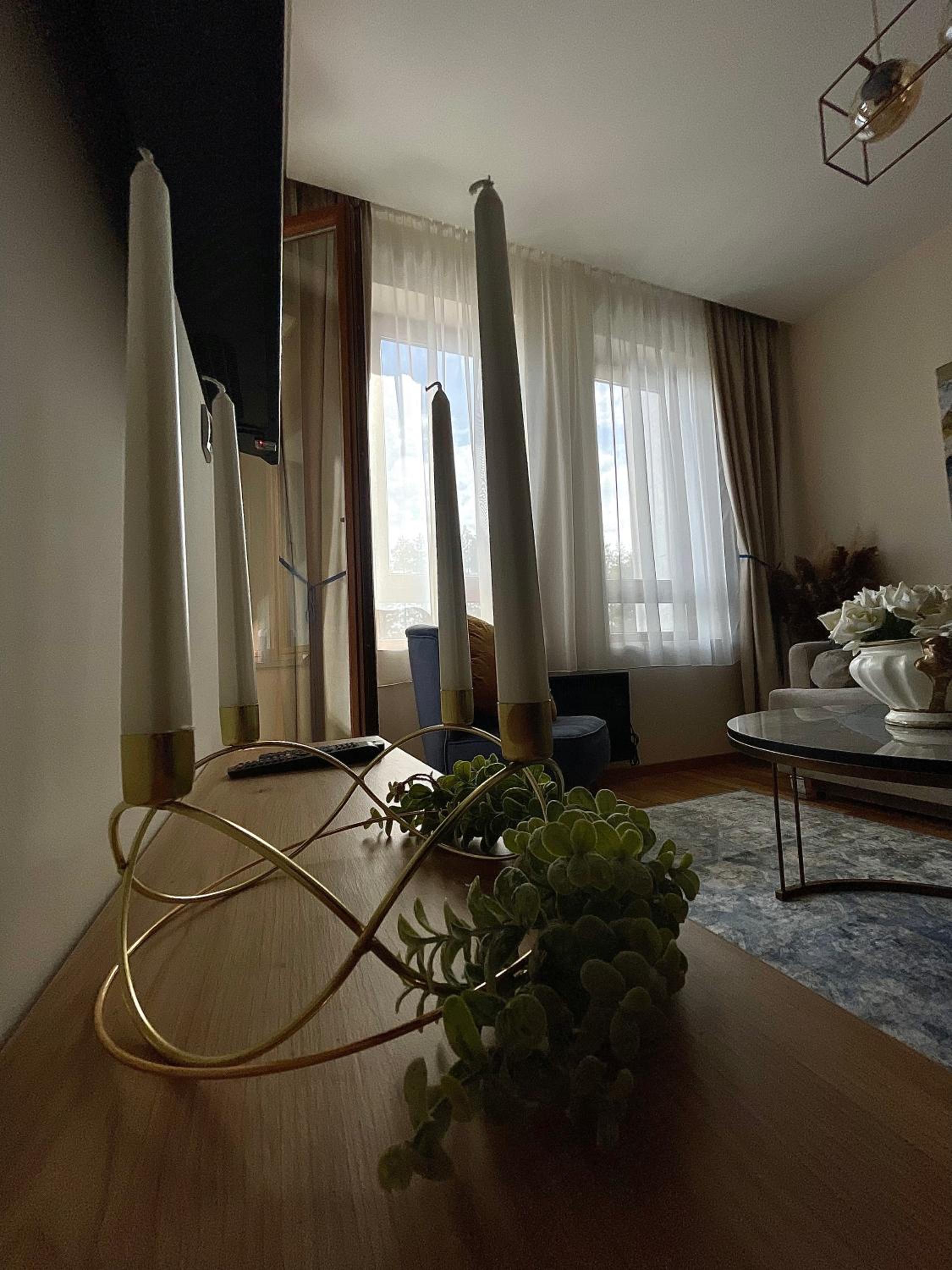 Aleksić Apartmani