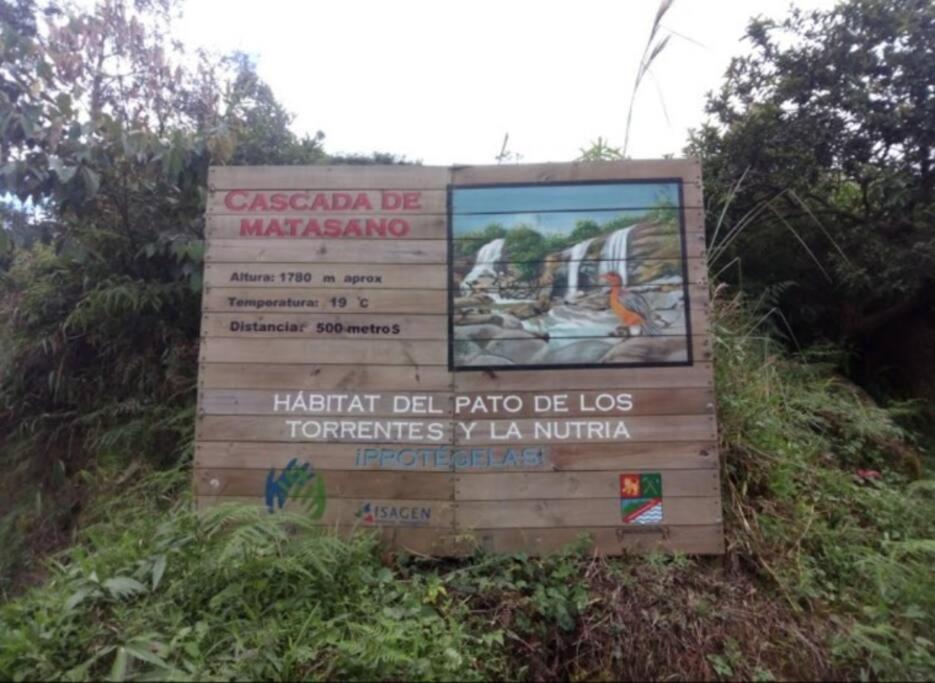 Hospedajes el Jardin cabaña
