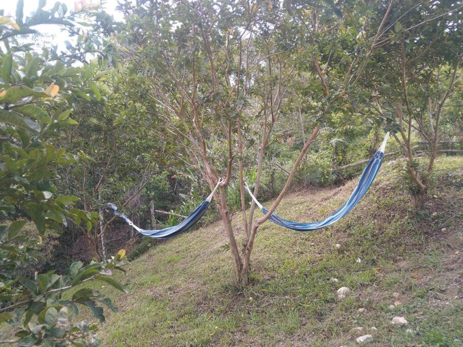 Hospedajes el Jardin cabaña